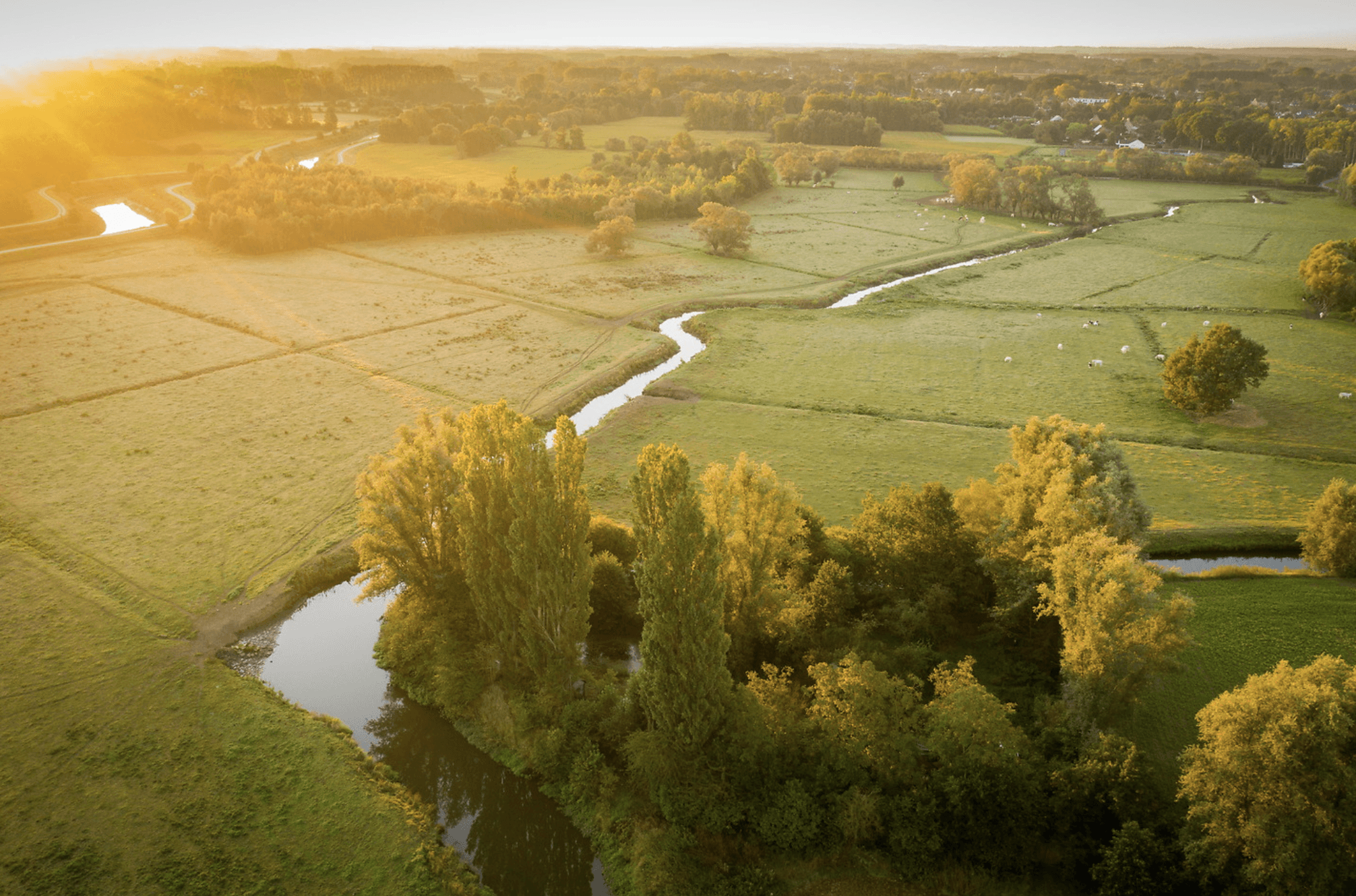 Natte natuur in Vlaanderen
