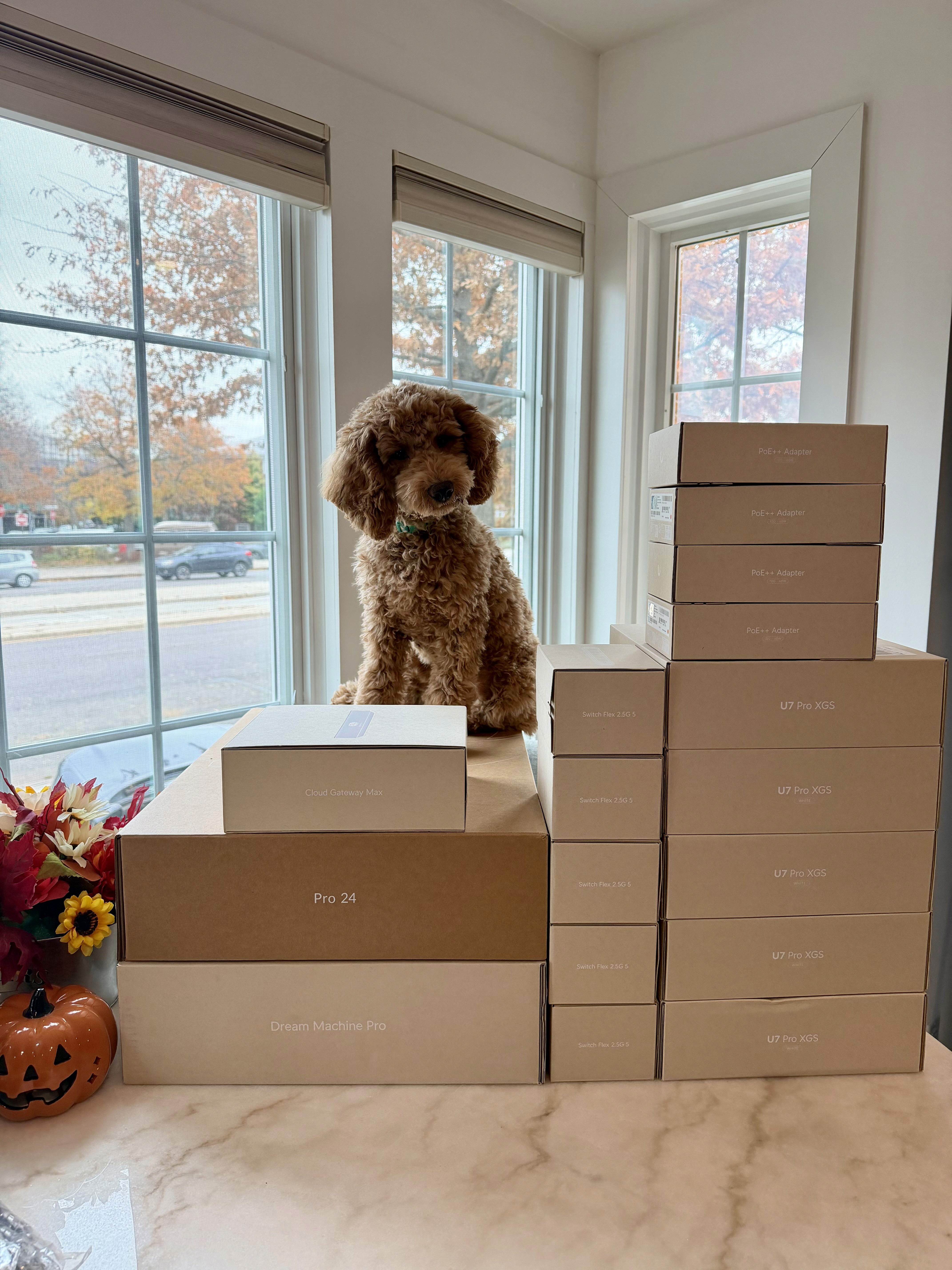 ubiquiti-products-network