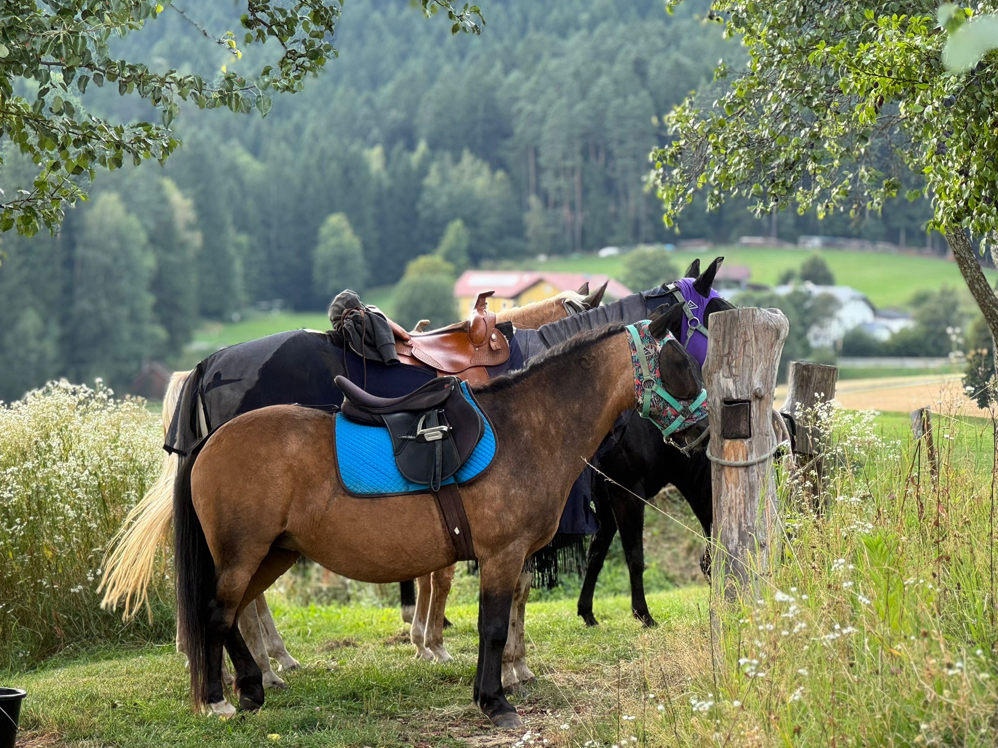 A smiling young man with crossed arms, wearing a plaid shirt and white t-shirt, poses against a dark background.