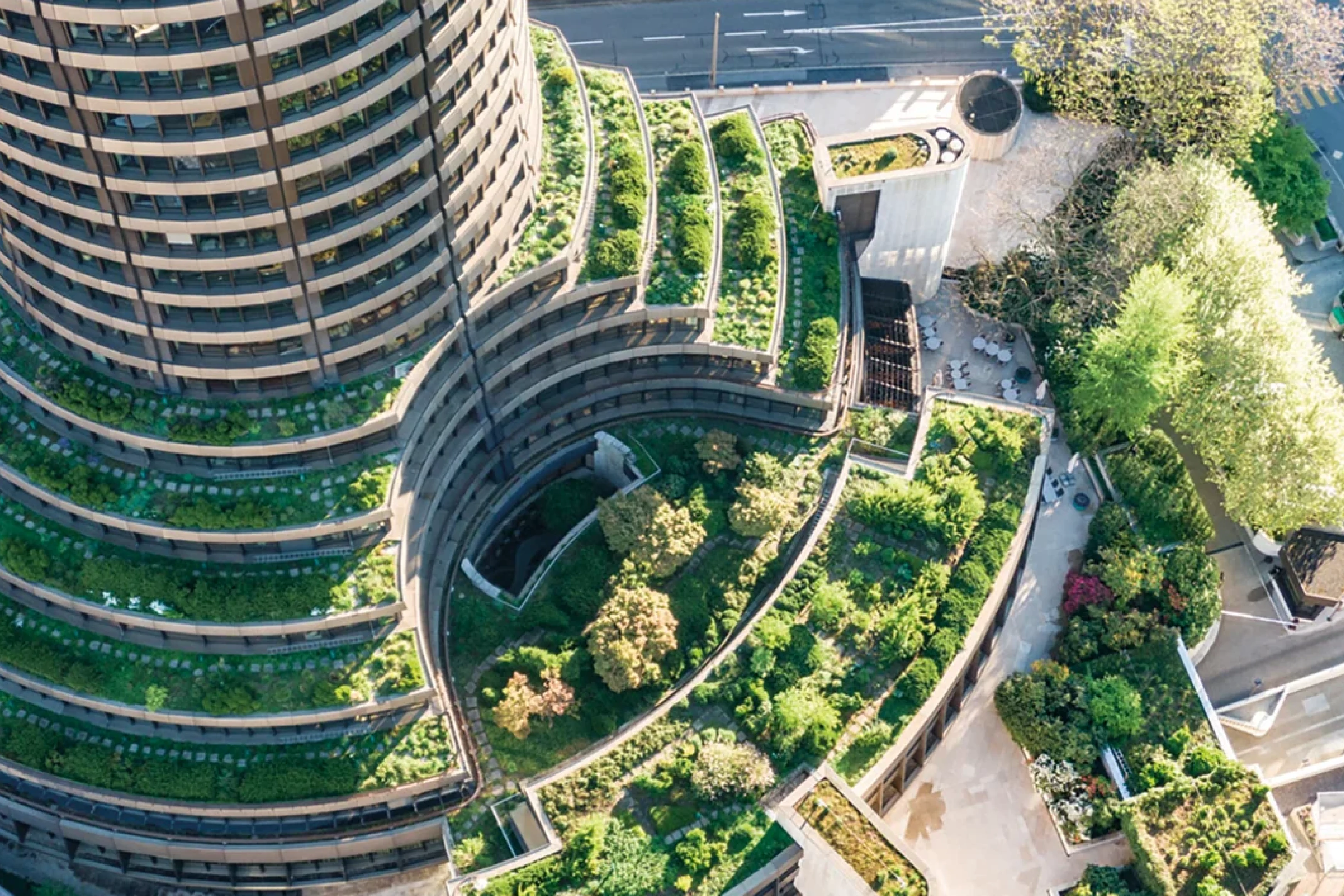 Bis of International Settlements