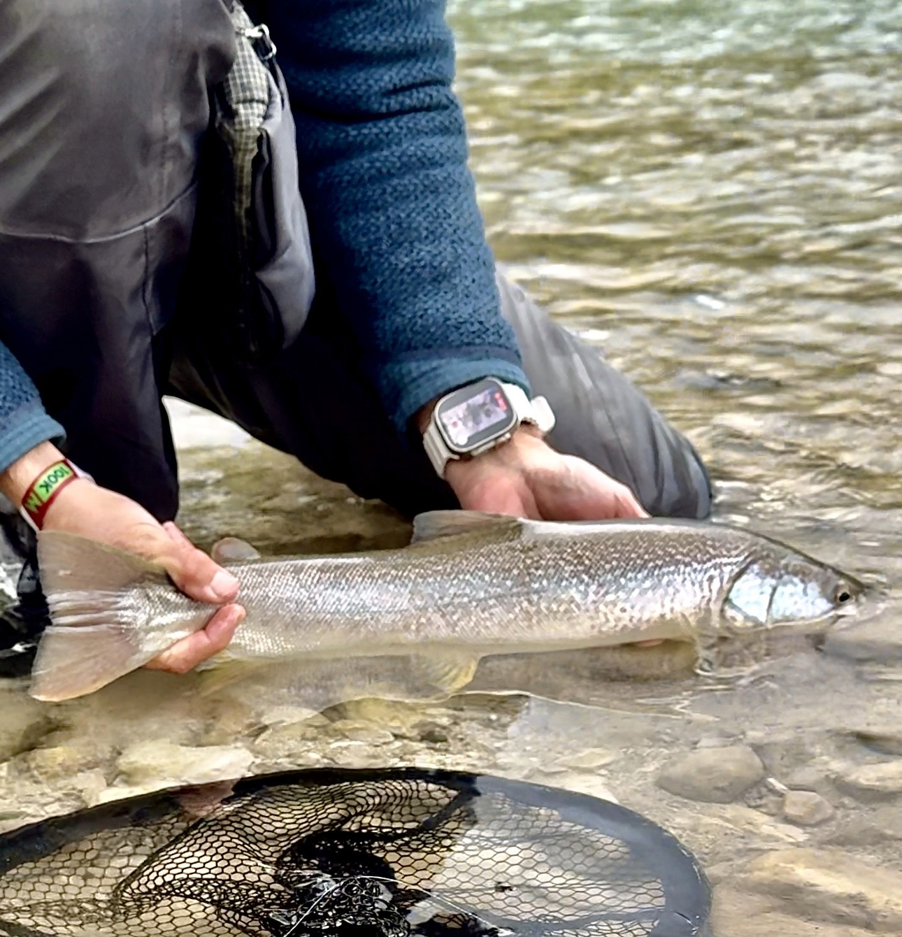 Discover the joy of fly fishing for grayling in the Dolomites, northern Italy. Target big brown trouts, marble trout, and grayling in scenic waters near Venice. Expert guides provide instruction in advanced fishing methods. Perfect for a memorable Italian outing.