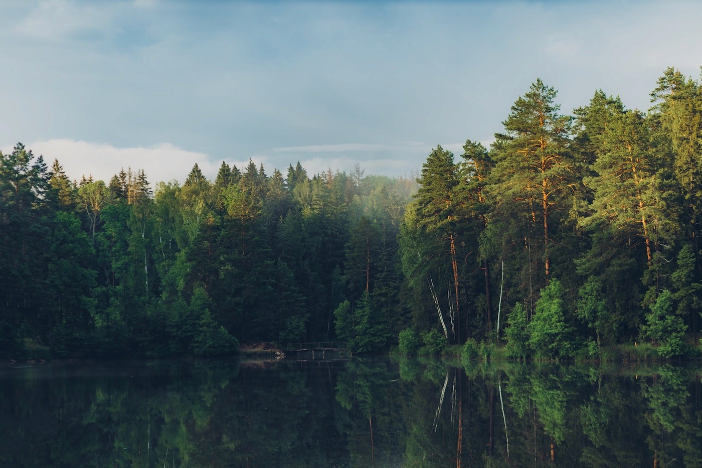 Pine forest reflected in a still Minnesota lake