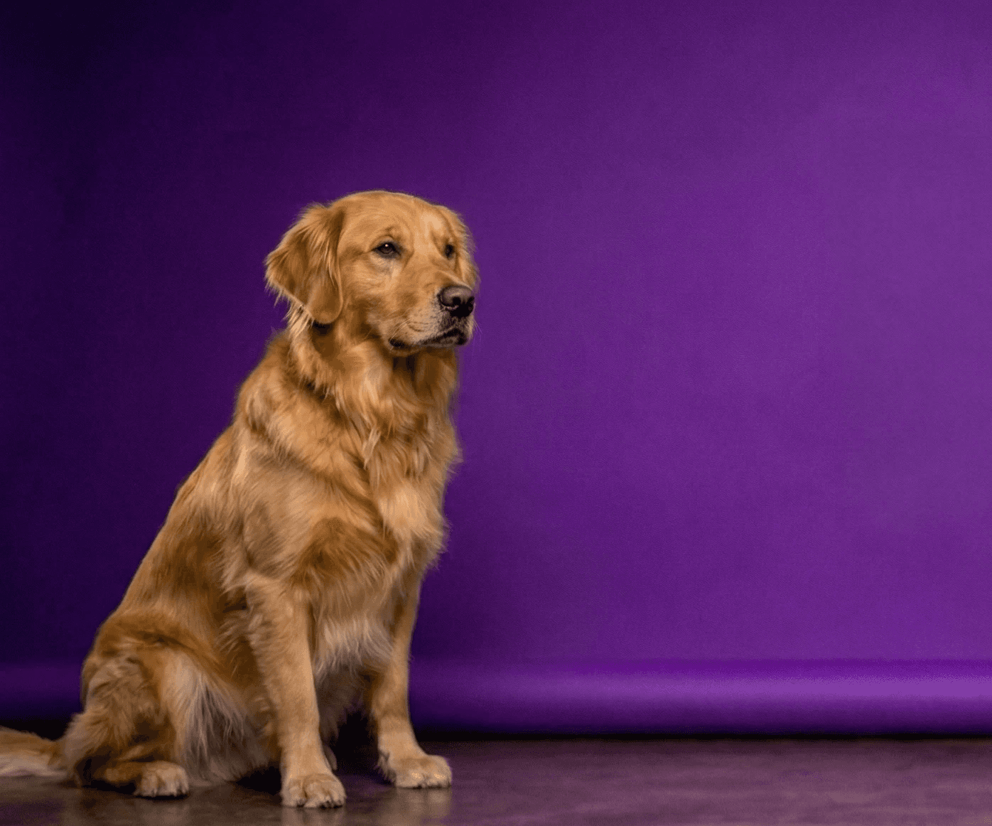 Man with surfing with paddle