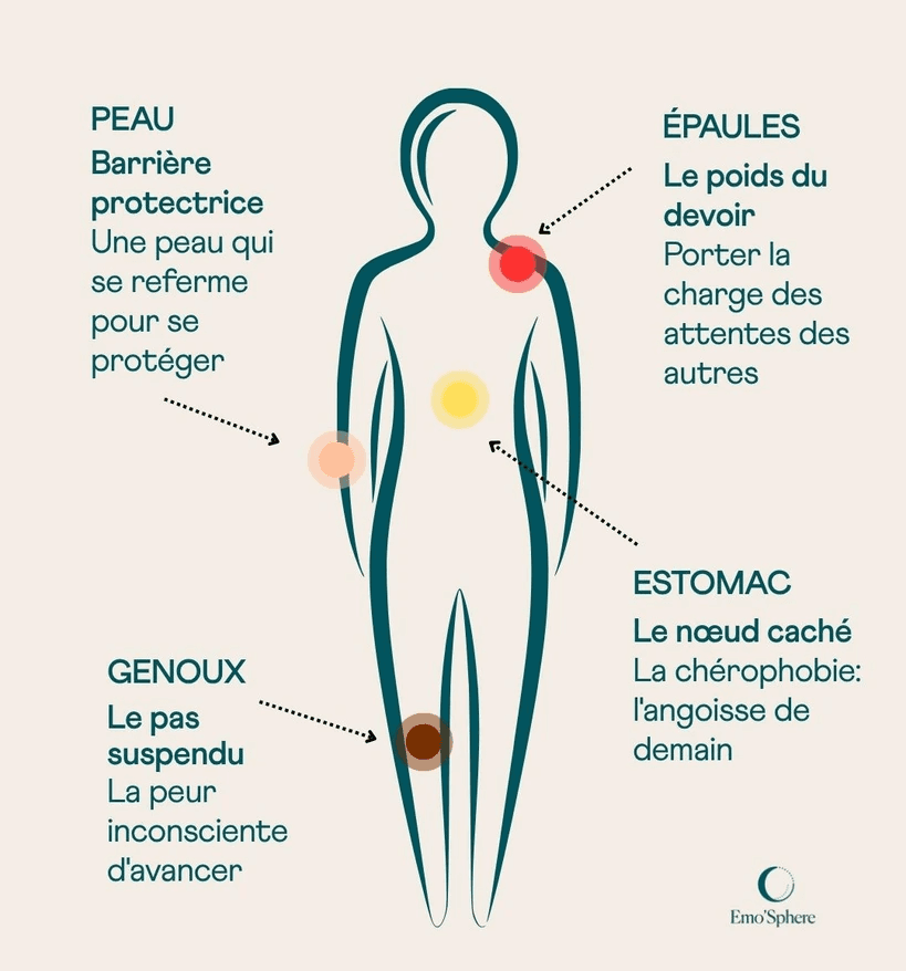 Infografie somasations-emo'sphere