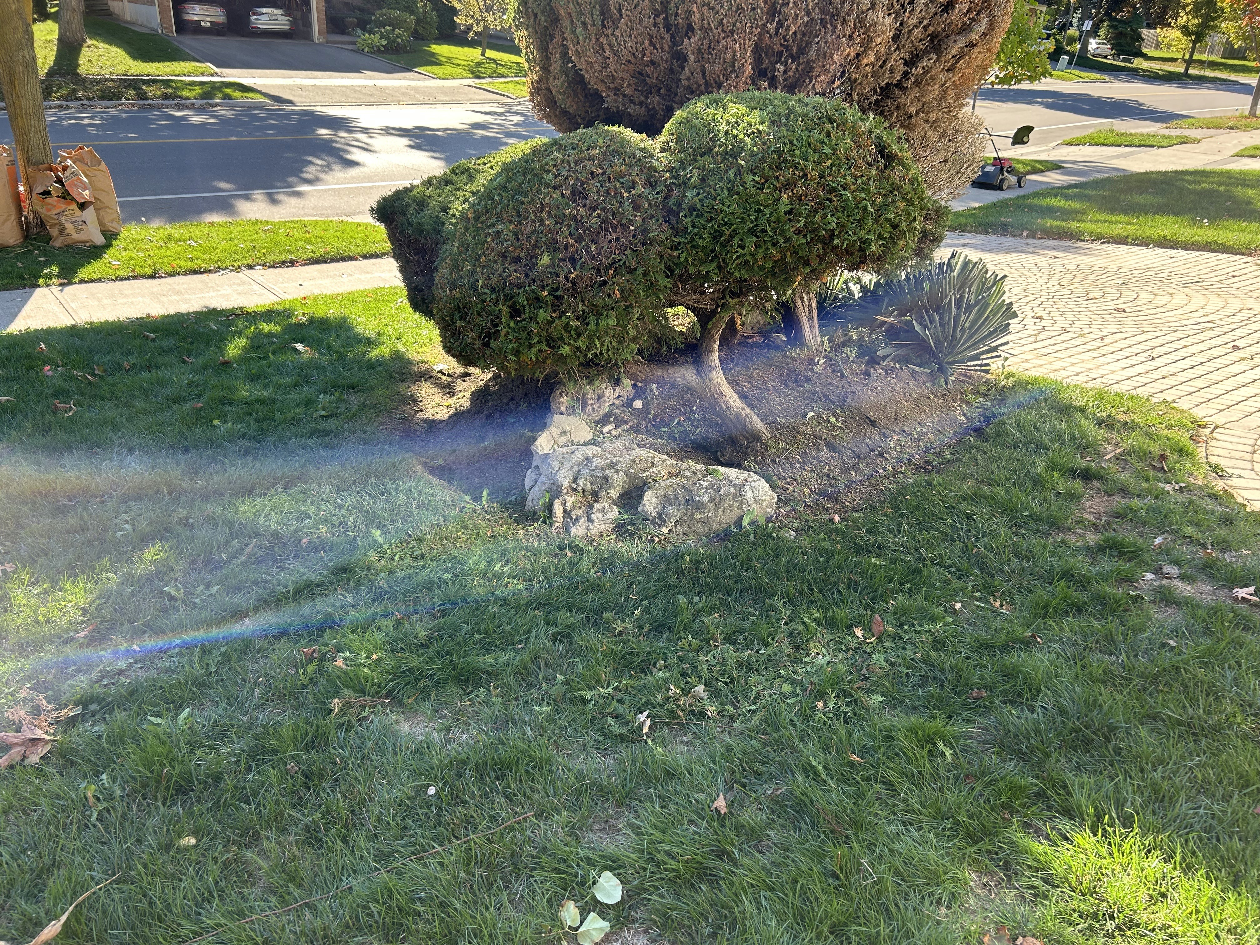 Public garden
