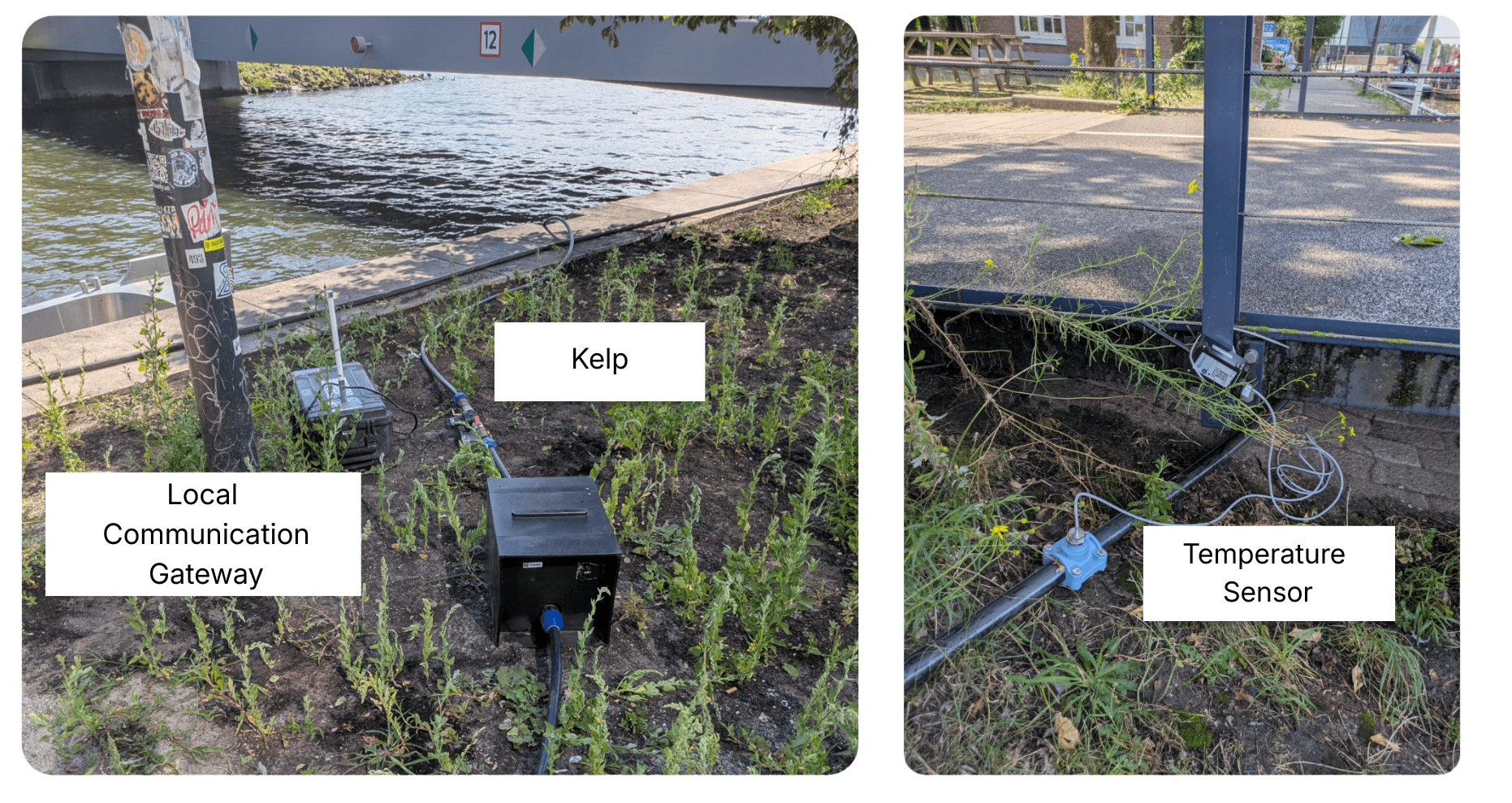 LoRaWAN gateway and temperature sensor installed along the water