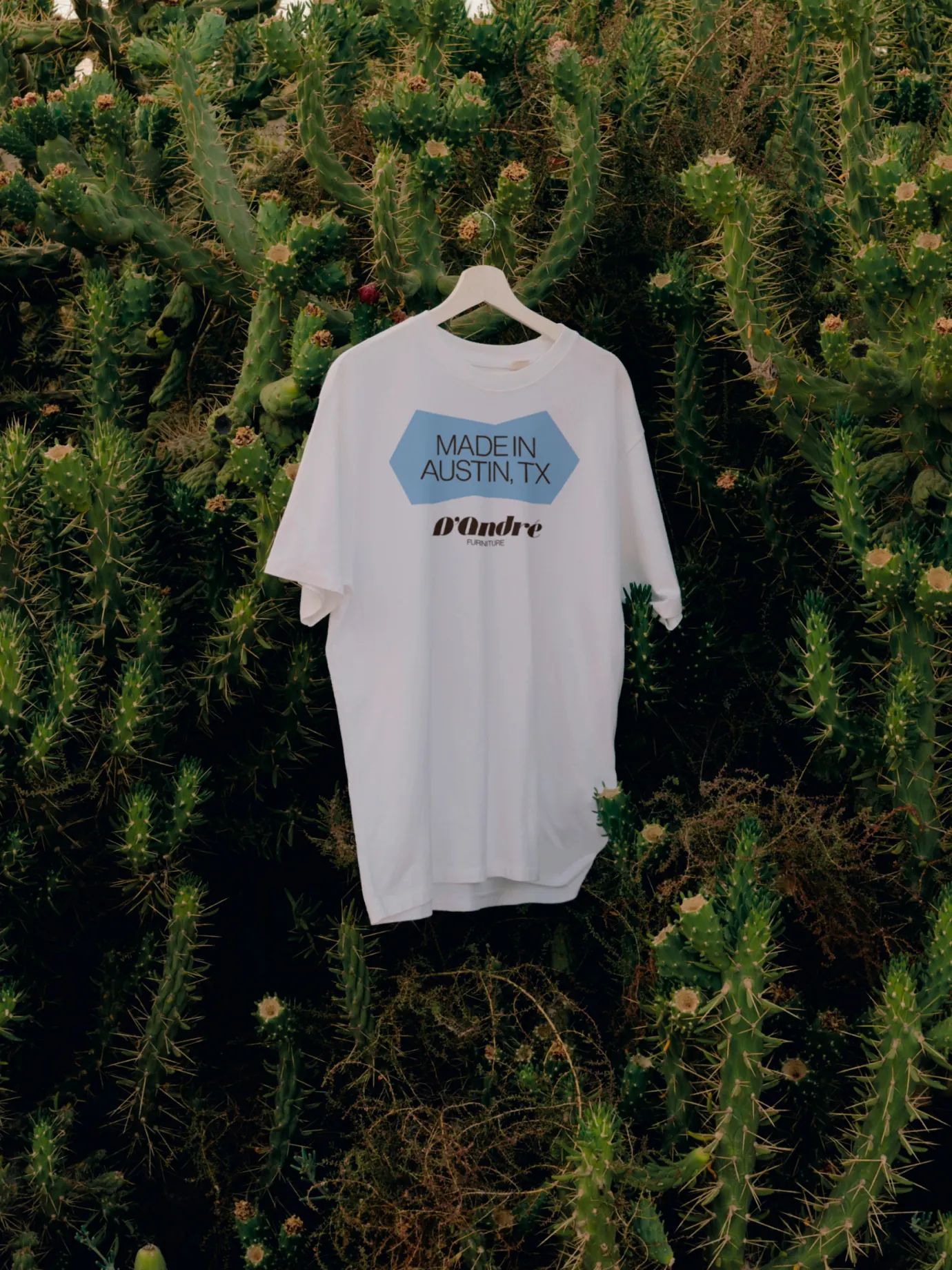 D’Andre Furniture — T-shirt mockup with logo and cactus background — Apparel design