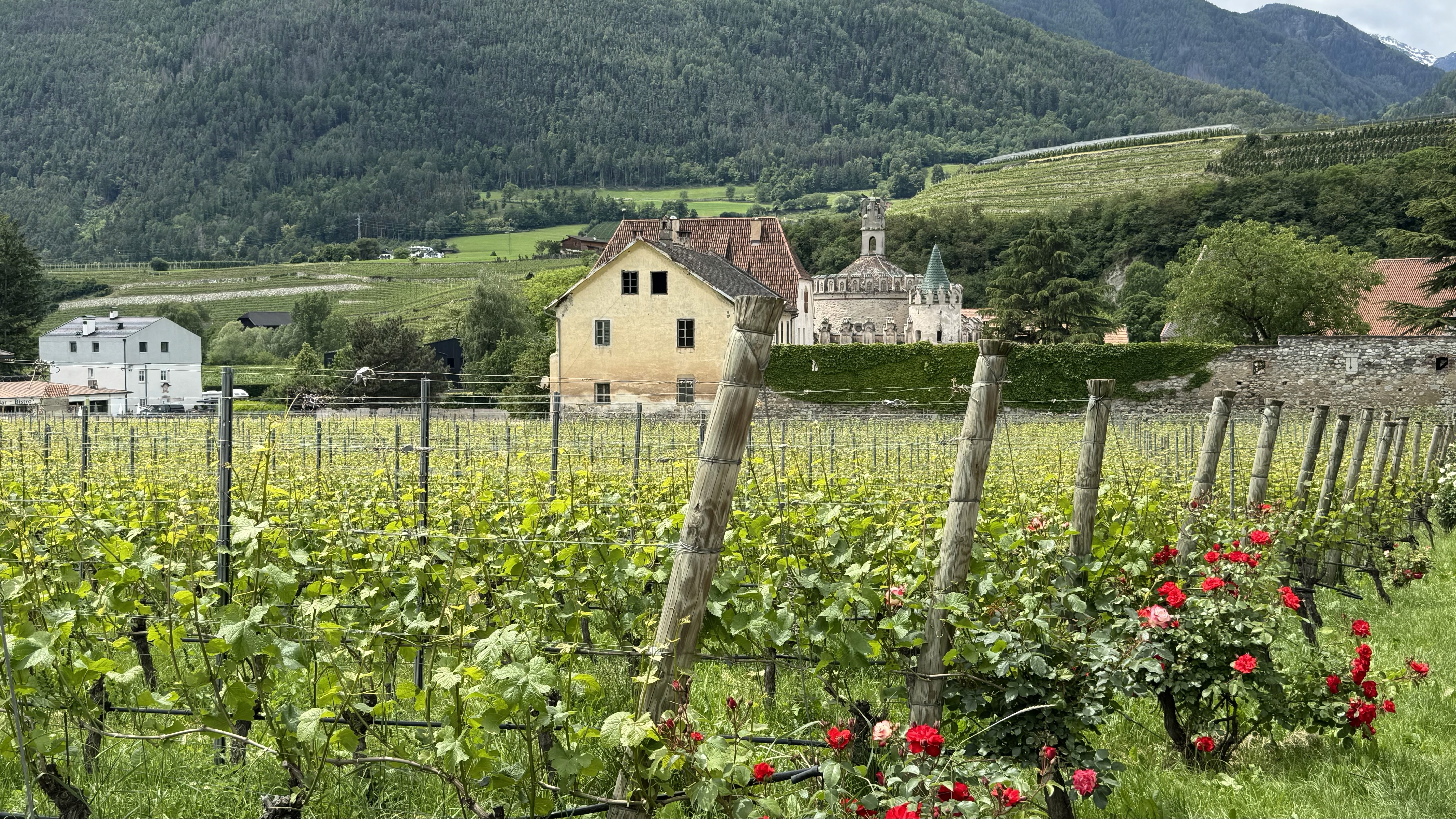 Abbazia di Novacella has been making wine for nearly 900 years.