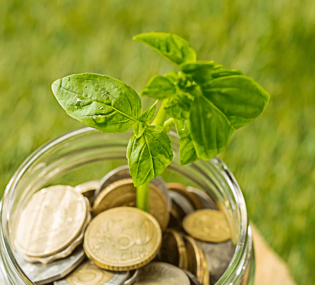 make smarter financial choices while supporting a sustainable future