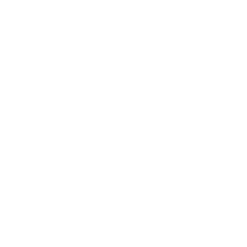 LOGO NOTION