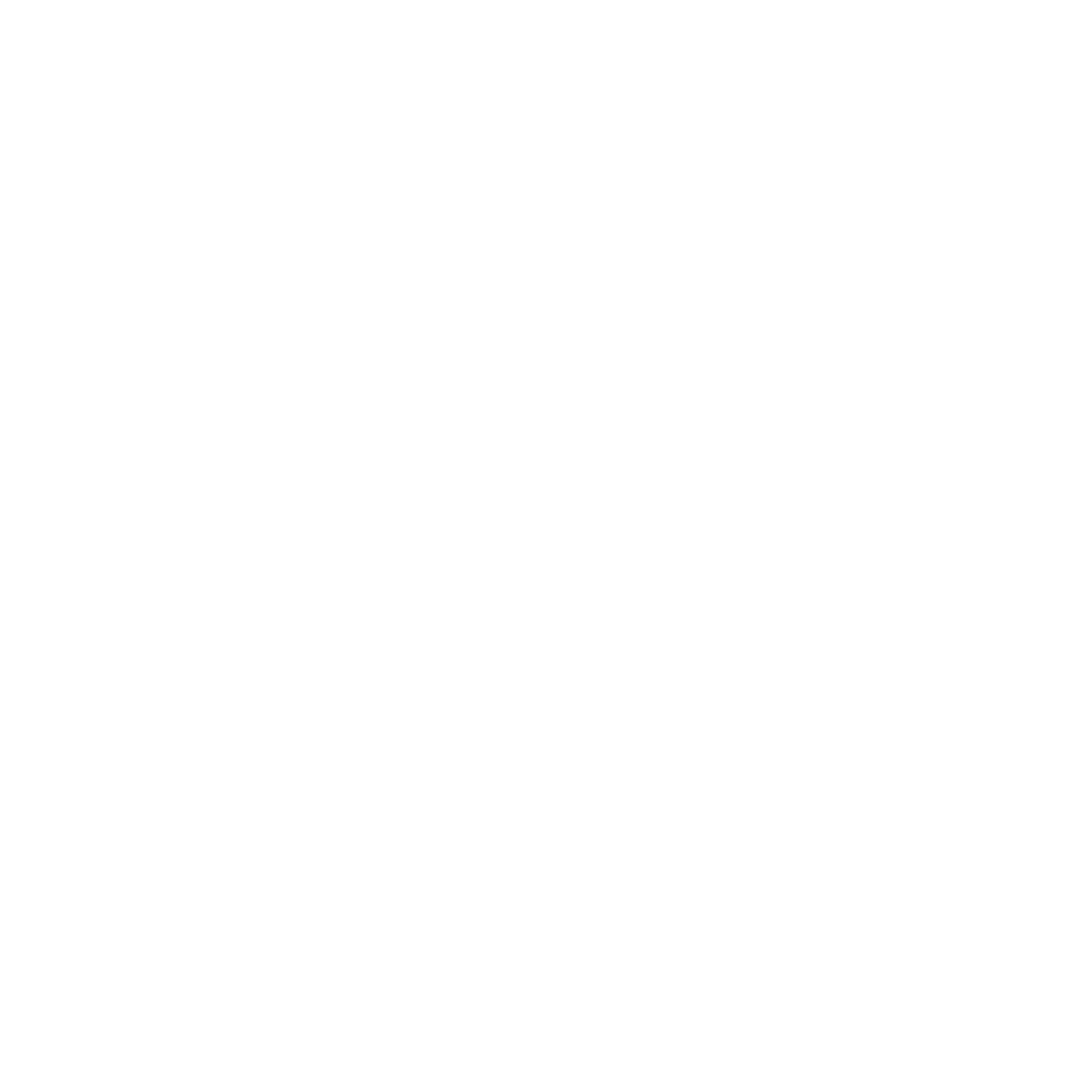 Cohere Command R+ Model