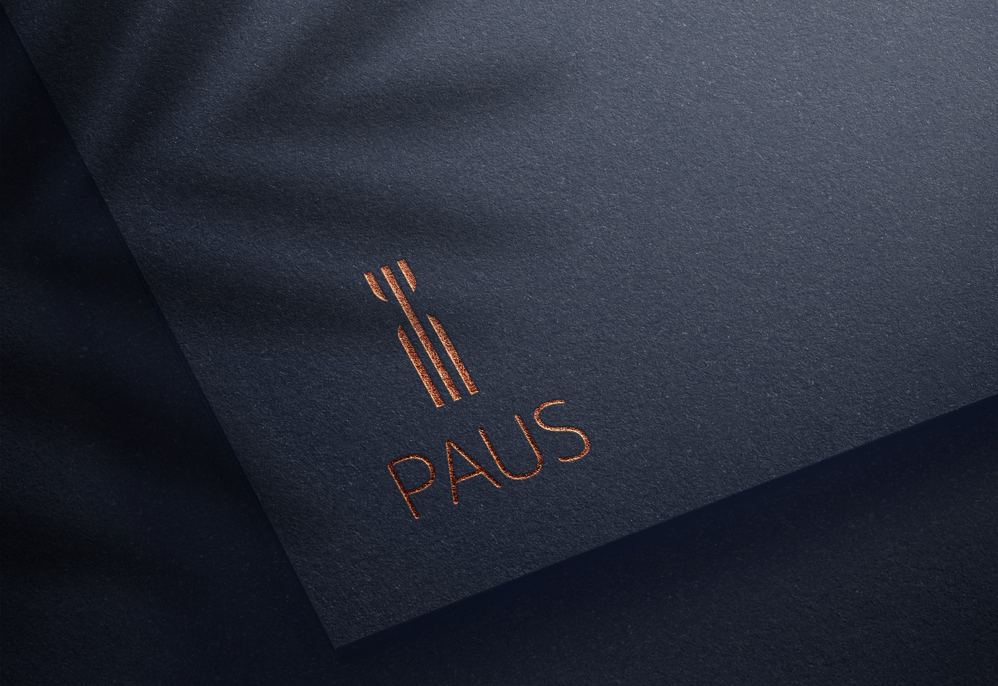 這張圖像展示了PAUS的品牌識別標誌,銅色的英文字PAUS和三條垂直線條的抽象圖形,印在深藍色紙張上。