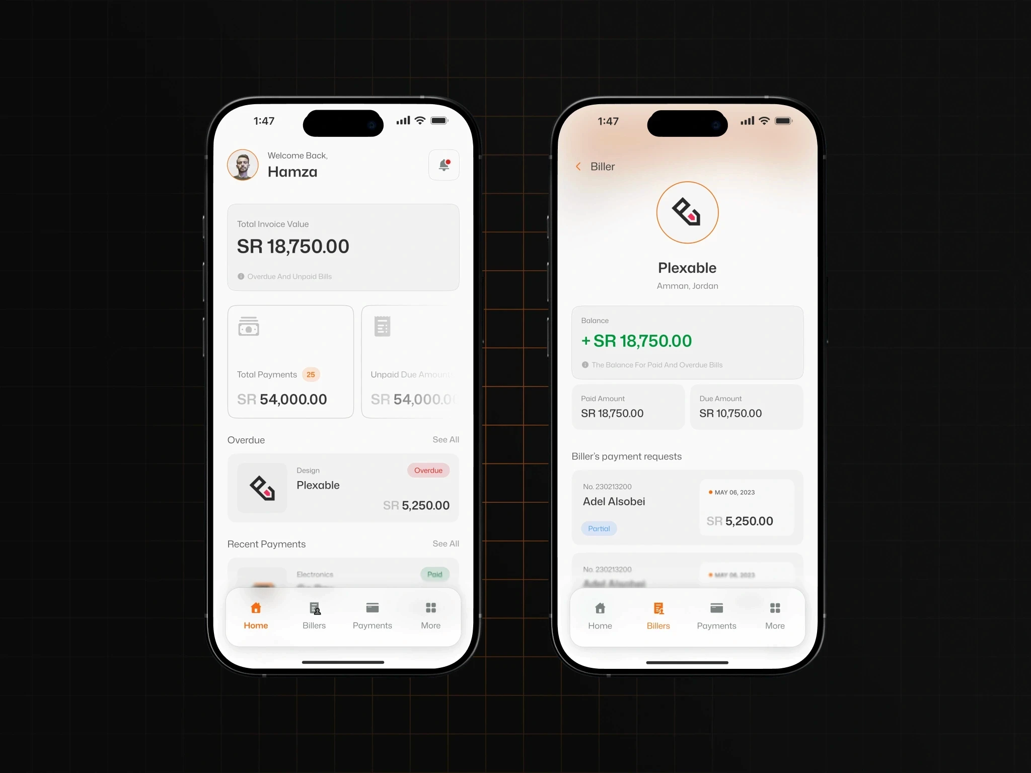 GoPay — Visuals Section visual 28