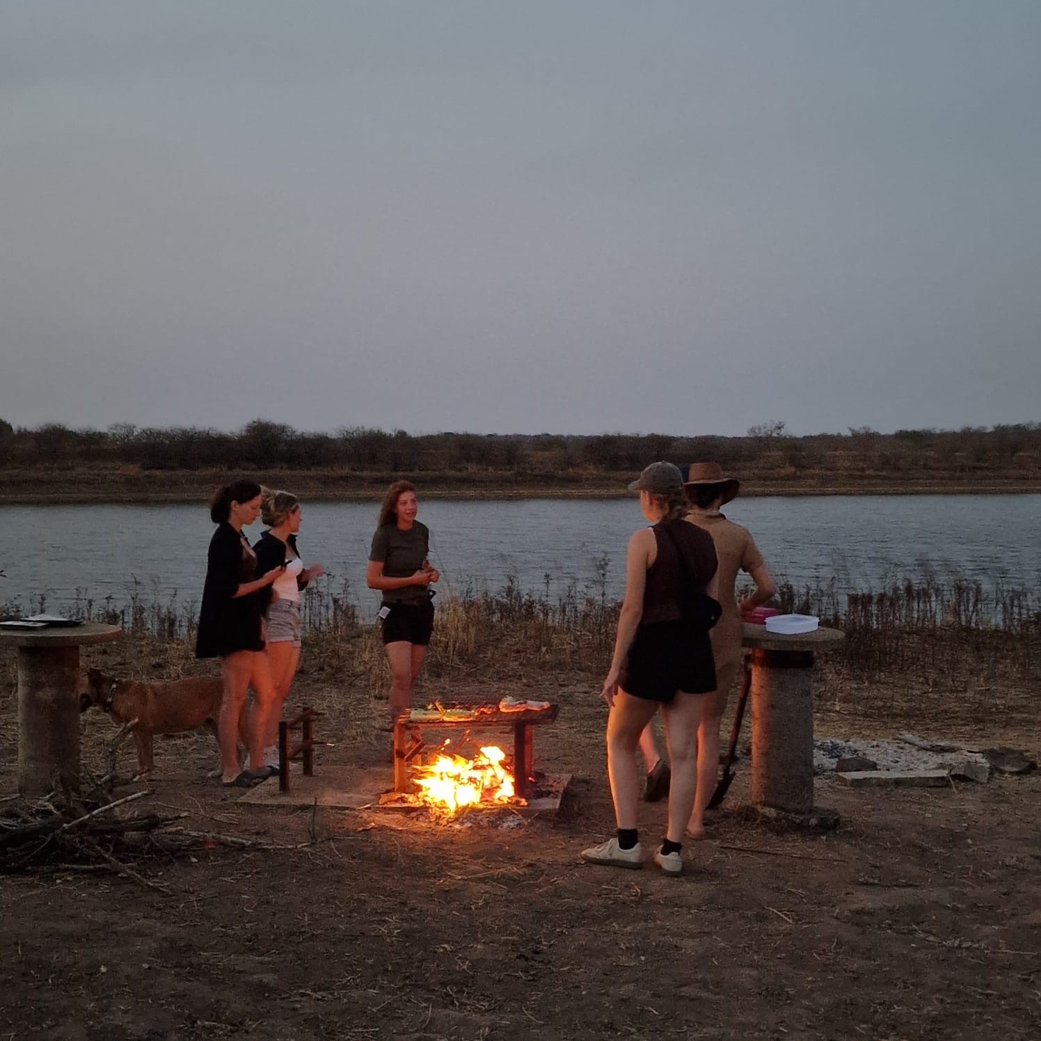 Kilimanjaro Elephant Ride, Arusha National Park, Tanzania – elefant i högt gräs tittar mot kameran, medan fem ryttare till häst på ridsafari i bakgrunden betraktar elefanten i ett grönt och frodigt landskap.