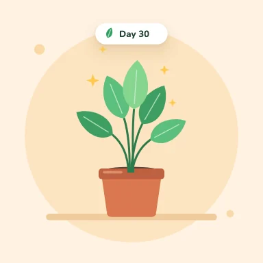 New leaf, key state 2