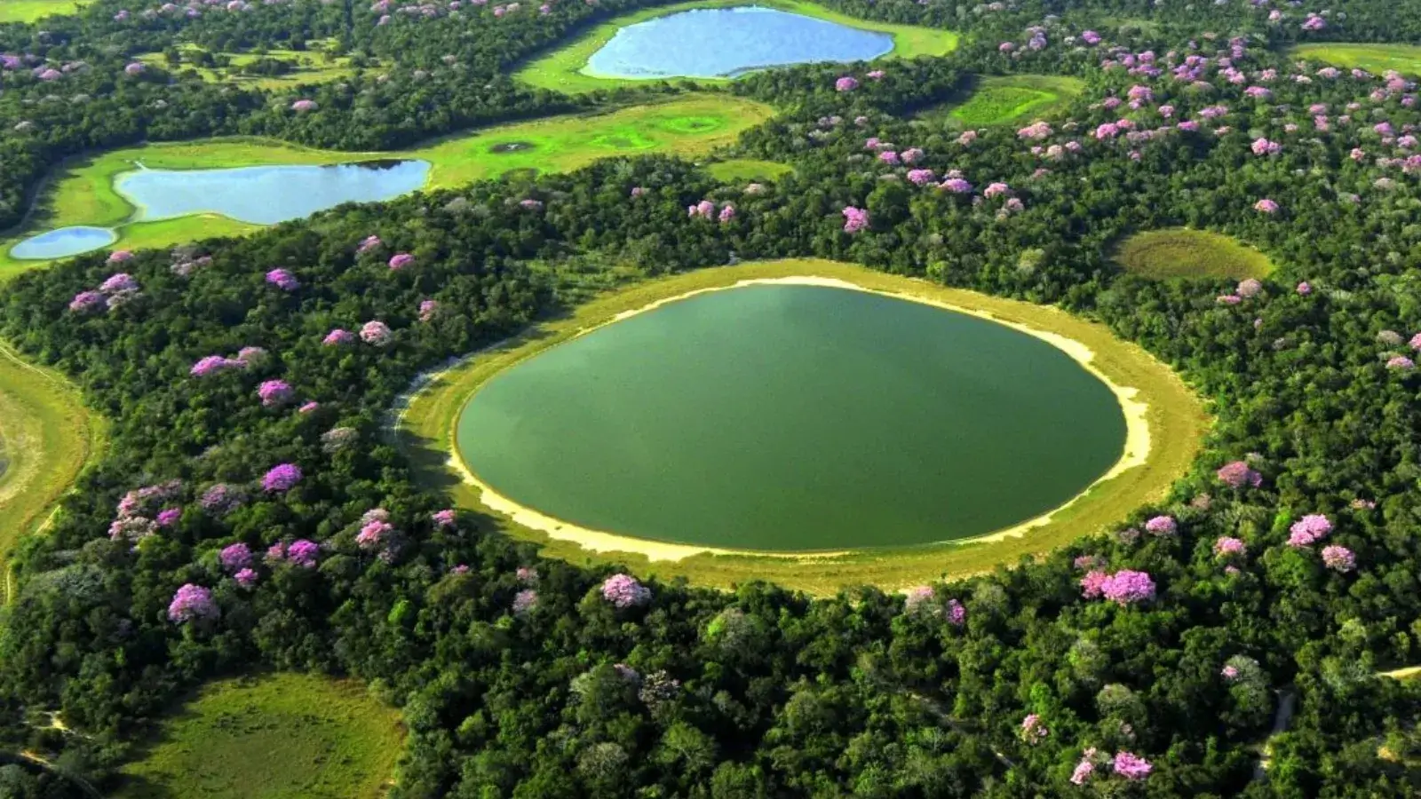 Pantanal
