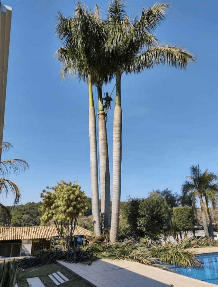 Serviço em Residências