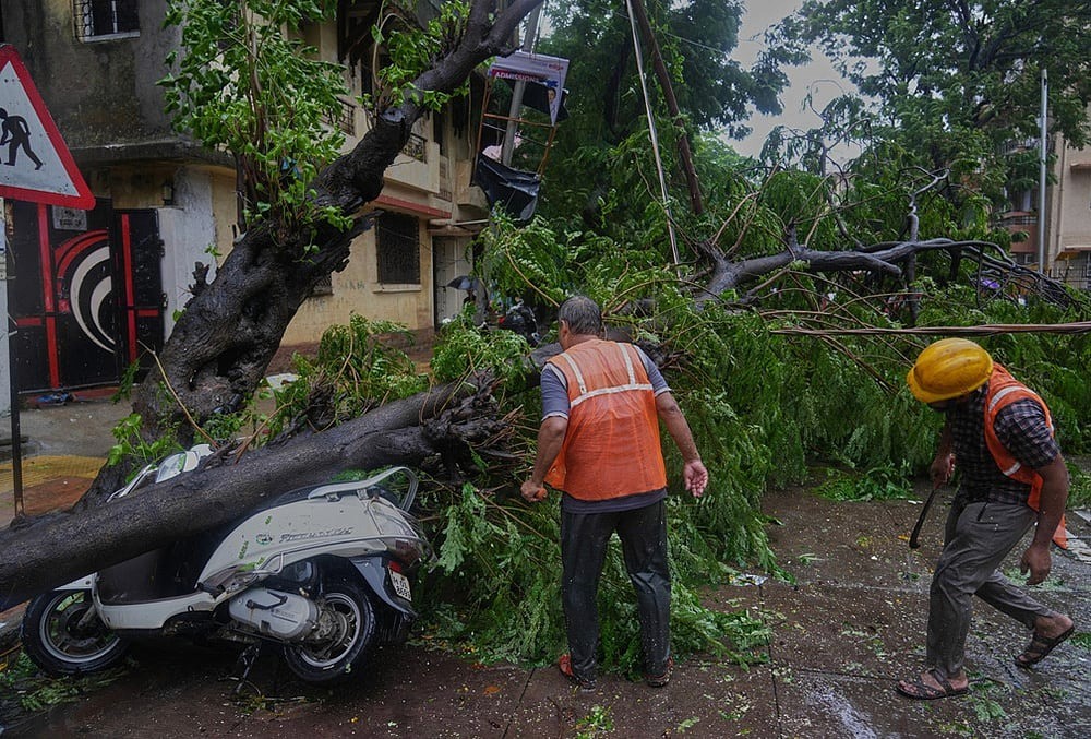 Workers clear a tree that fell on a street during monsoon rains in Mumbai, July 5, 2026.