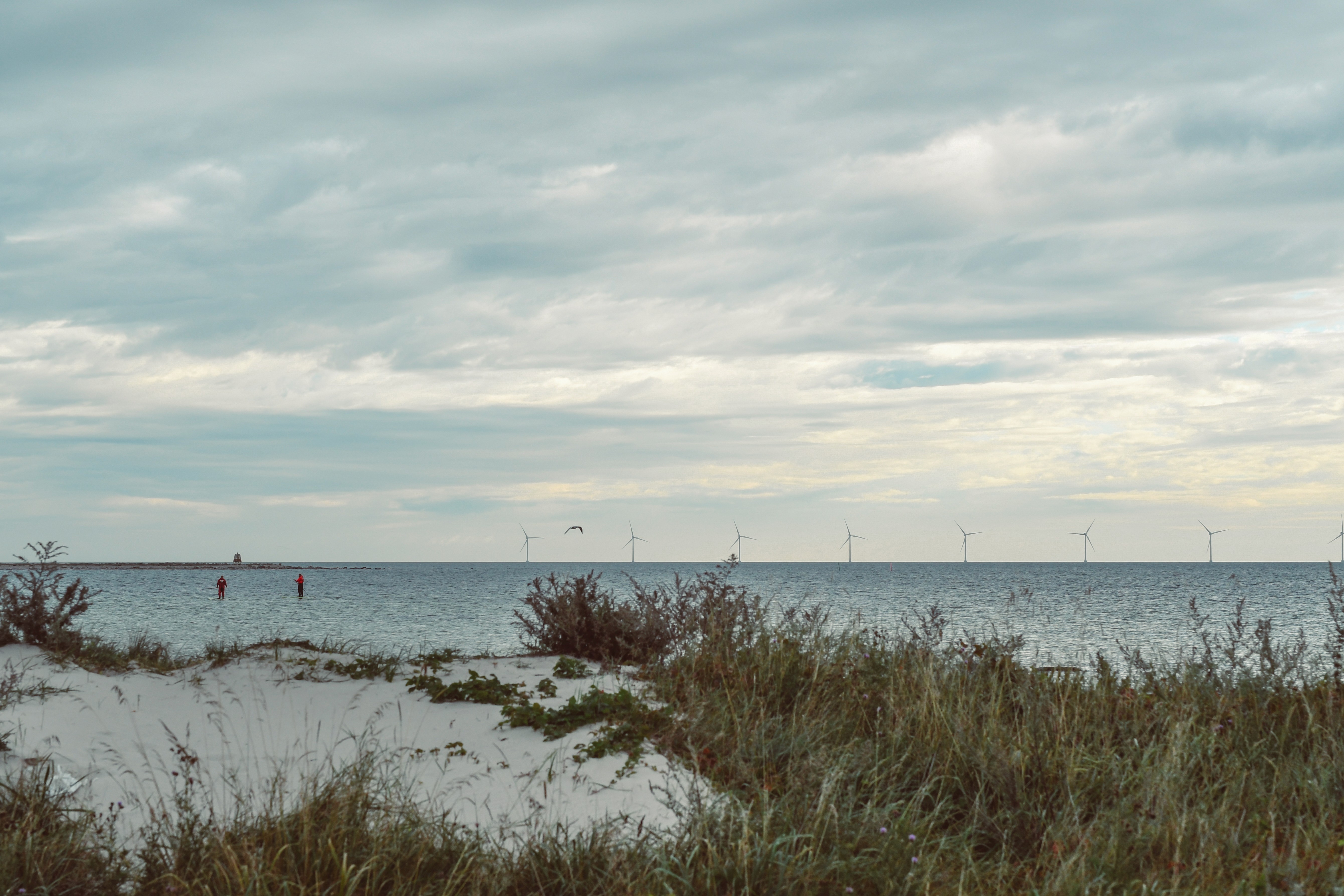 Landskapsfoto av Kårehamn vindpark