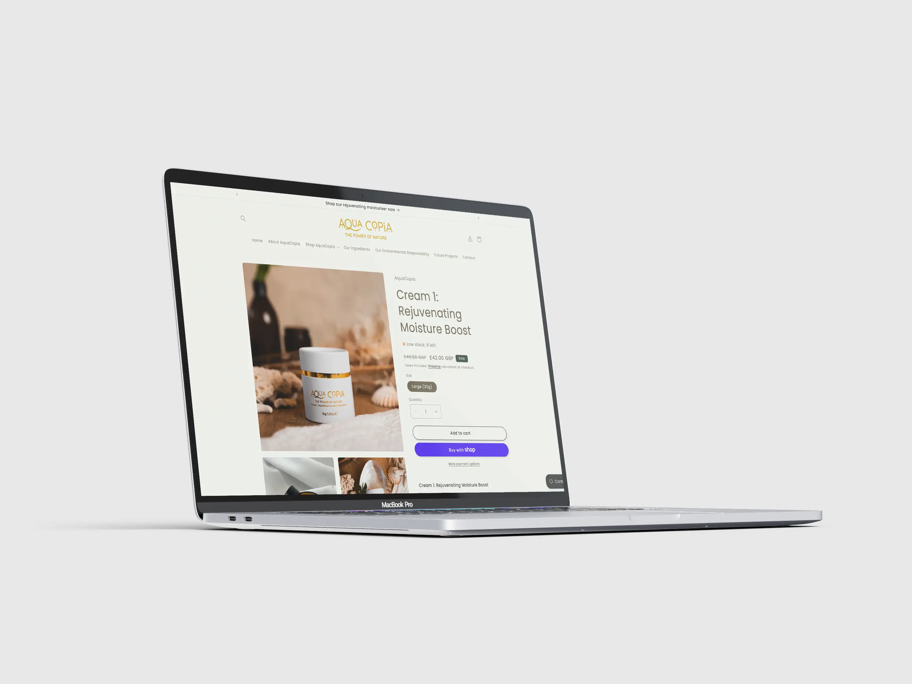 AquaCopia custom Shopify product page displayed on a laptop, with product imagery, details and purchase options.