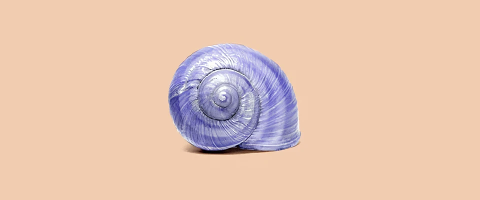 Purple snail on beige background