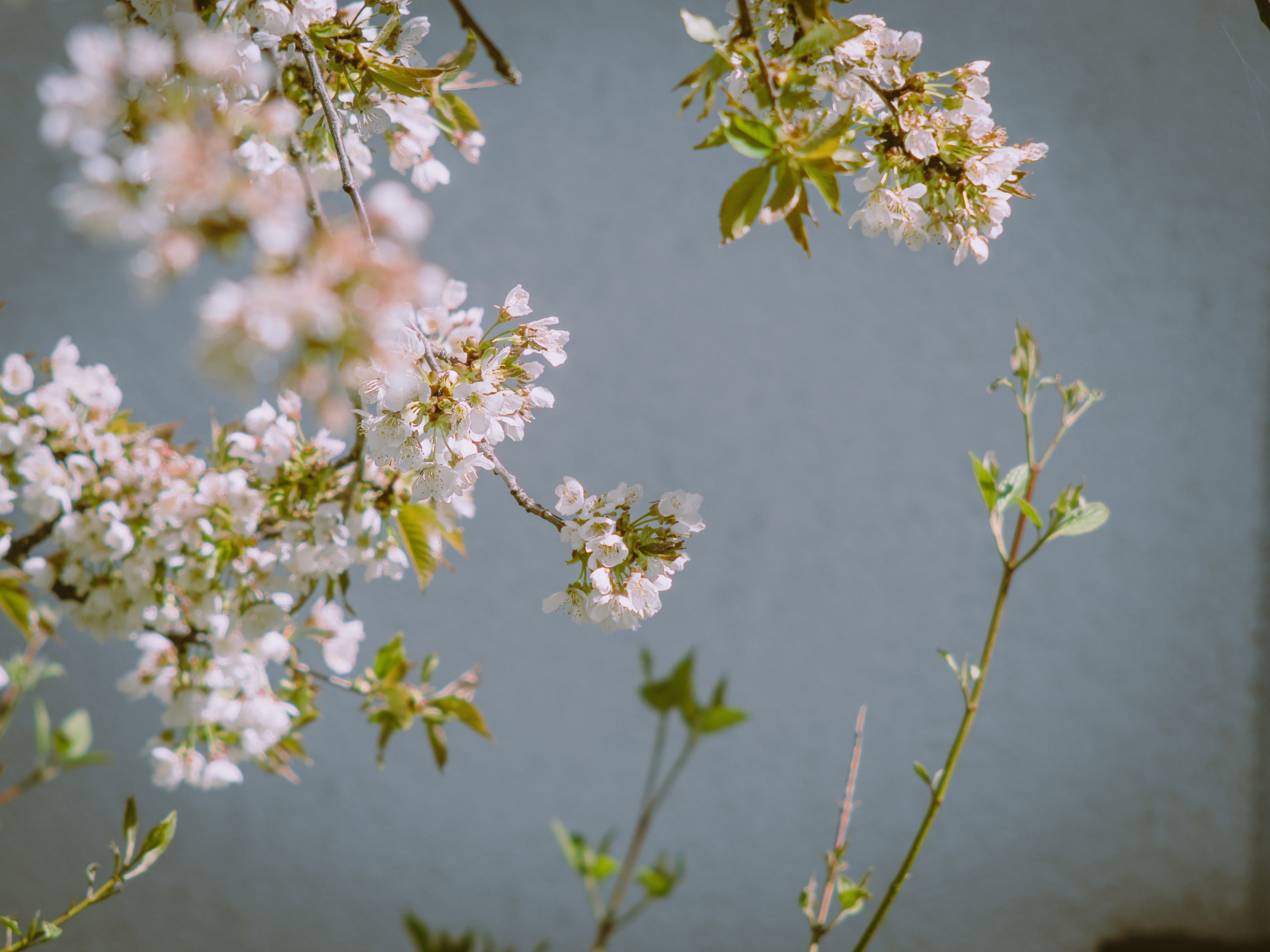 Hochzeitsfotograf Brautpaar München Portrait