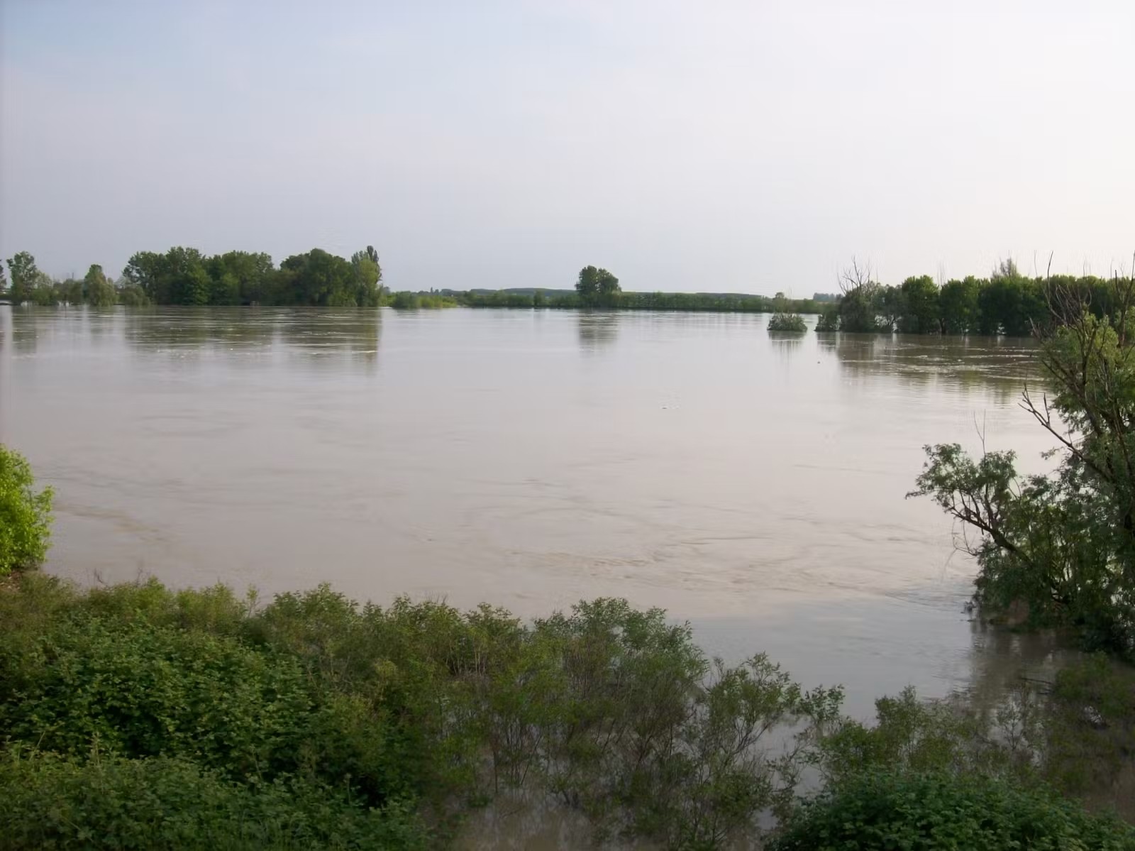 Fly fish on the Po River in northern Italy with expert guides. Catch huge carp, wels catfish, barb, and asp in beautiful waters. Learn advanced fishing methods. Perfect for anglers seeking big catches in scenic settings.