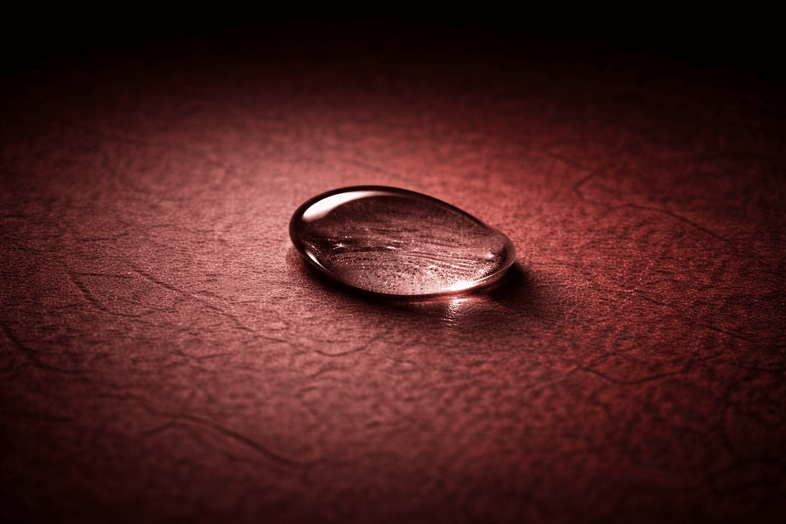 close-up photography of gray and orange stones