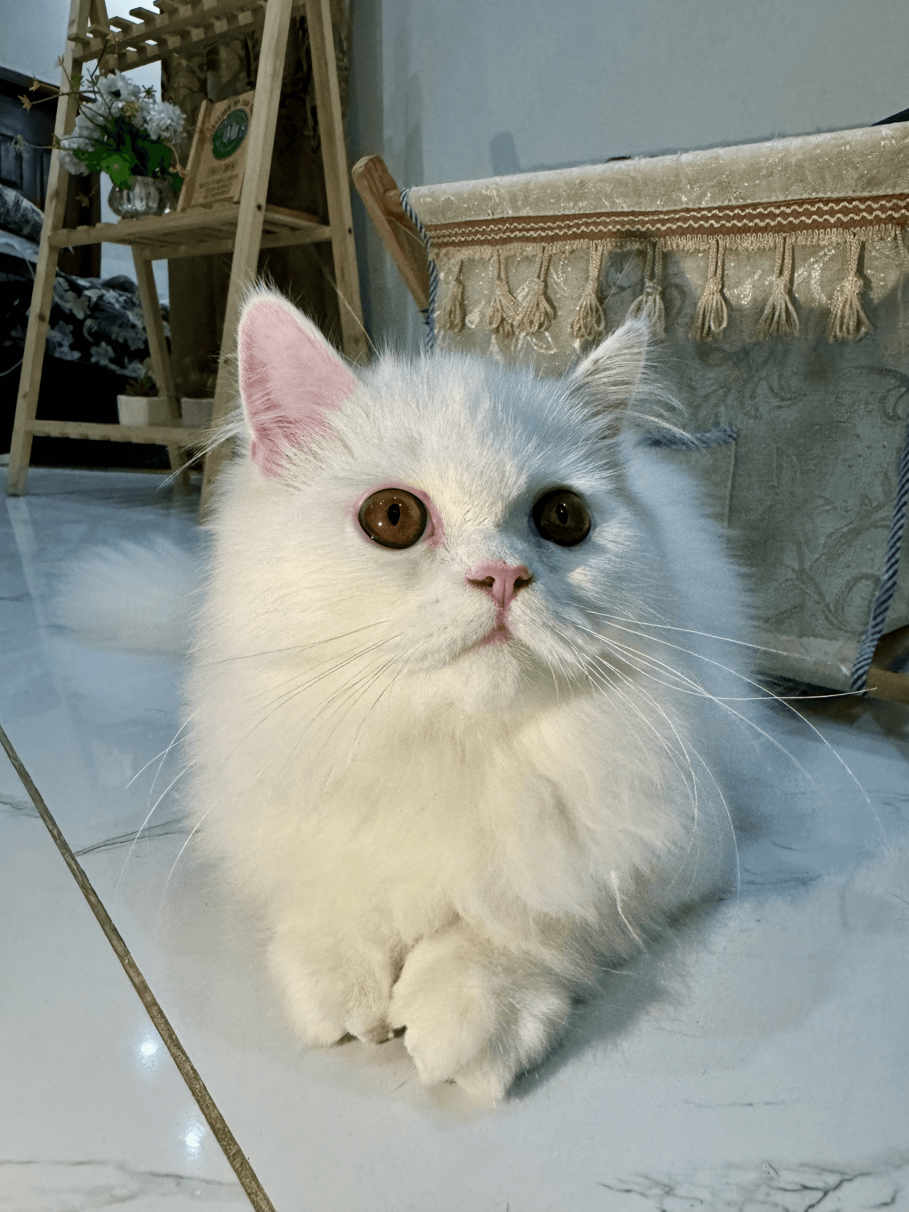 Coastal Scene with Boats