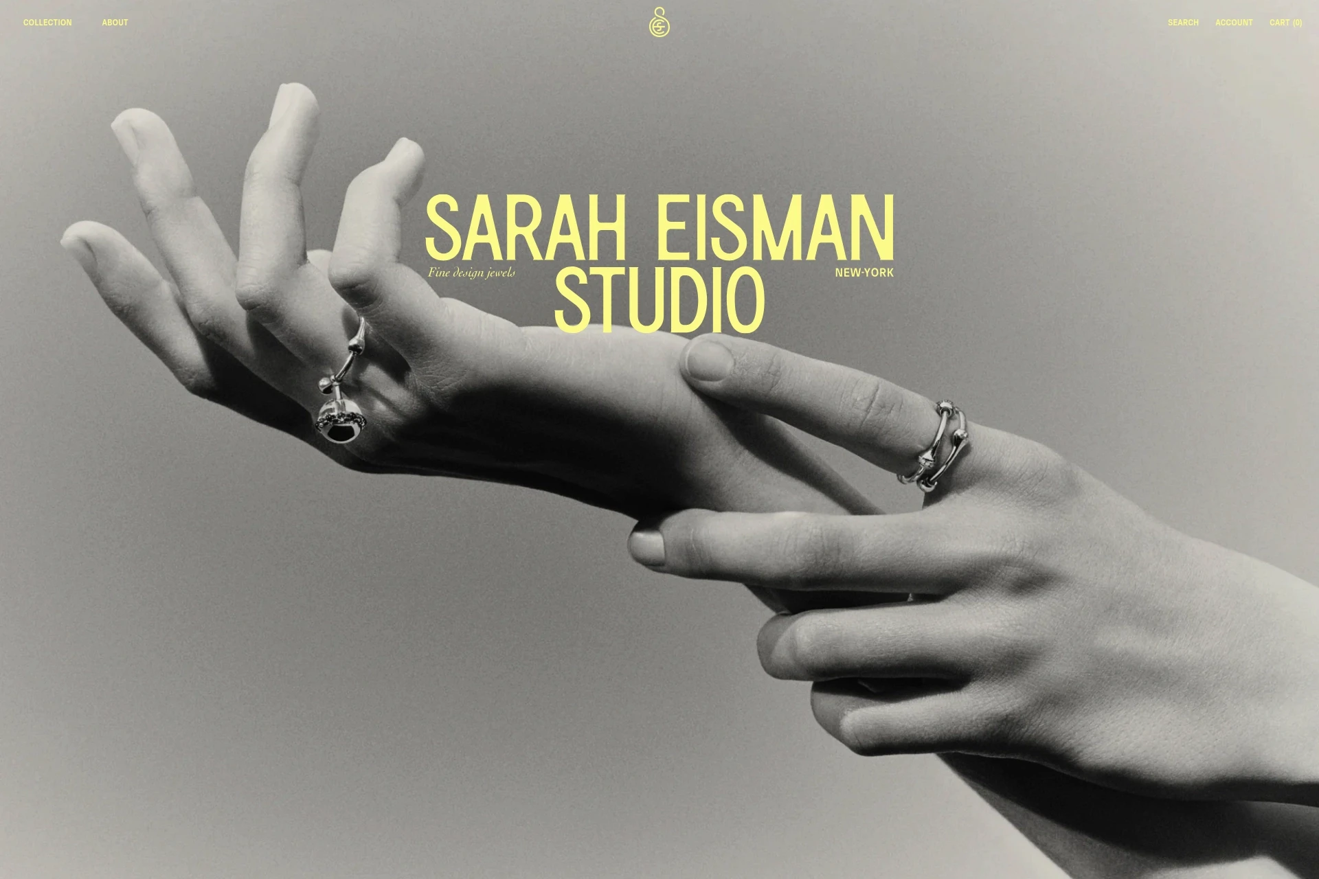 Screenshot of Sarah Eisman Studio website