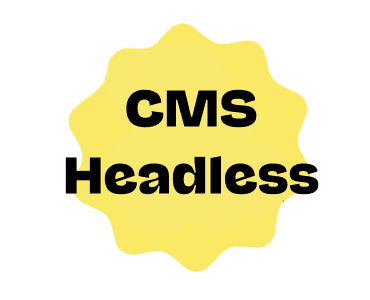 CMS headless