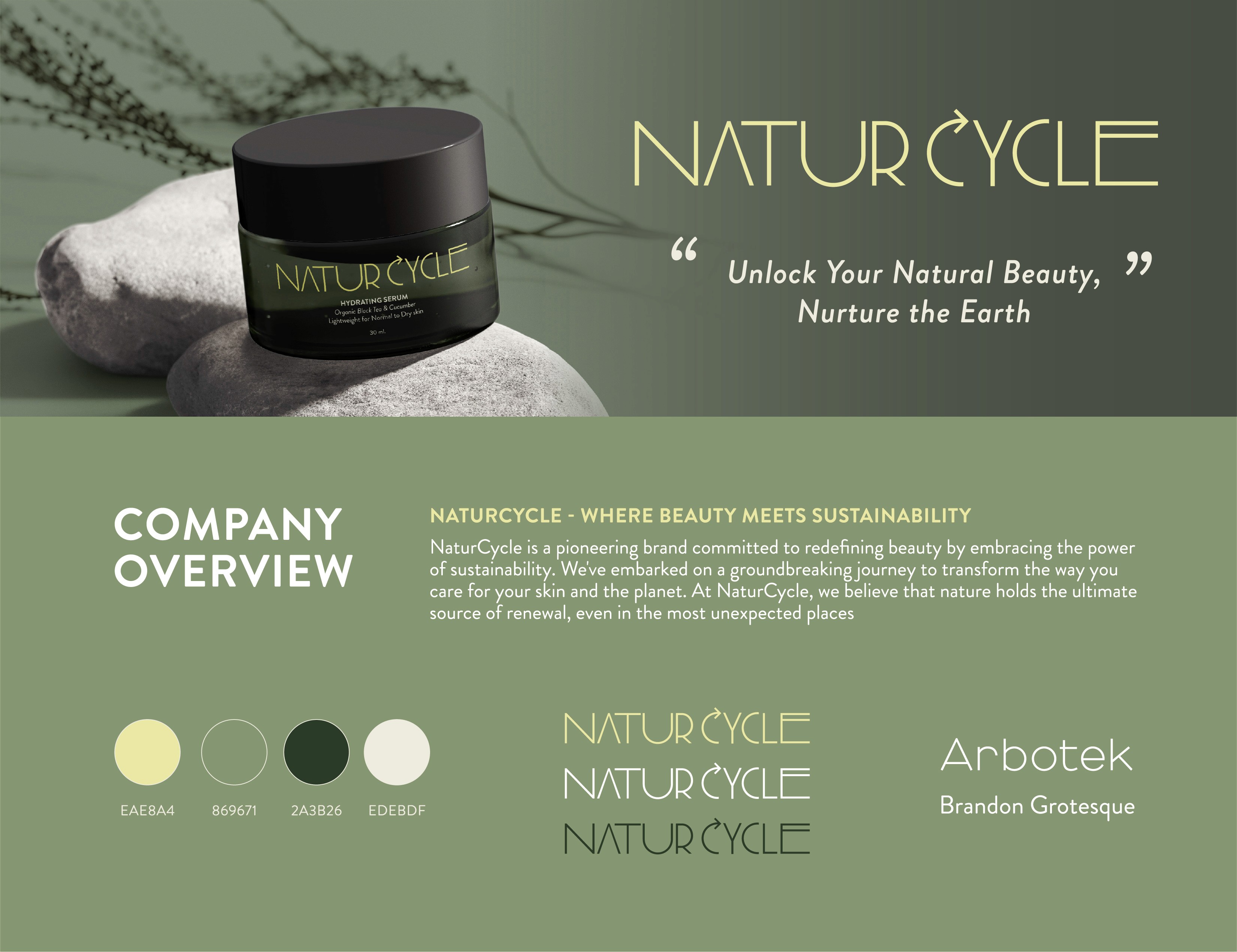 Company overview with brand identity