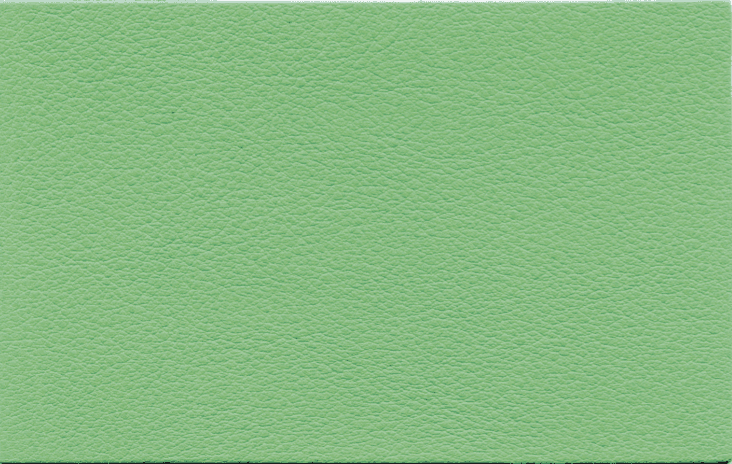 Magnolia sustainable premium interior leather by Gruppo Dani - MateriaVita