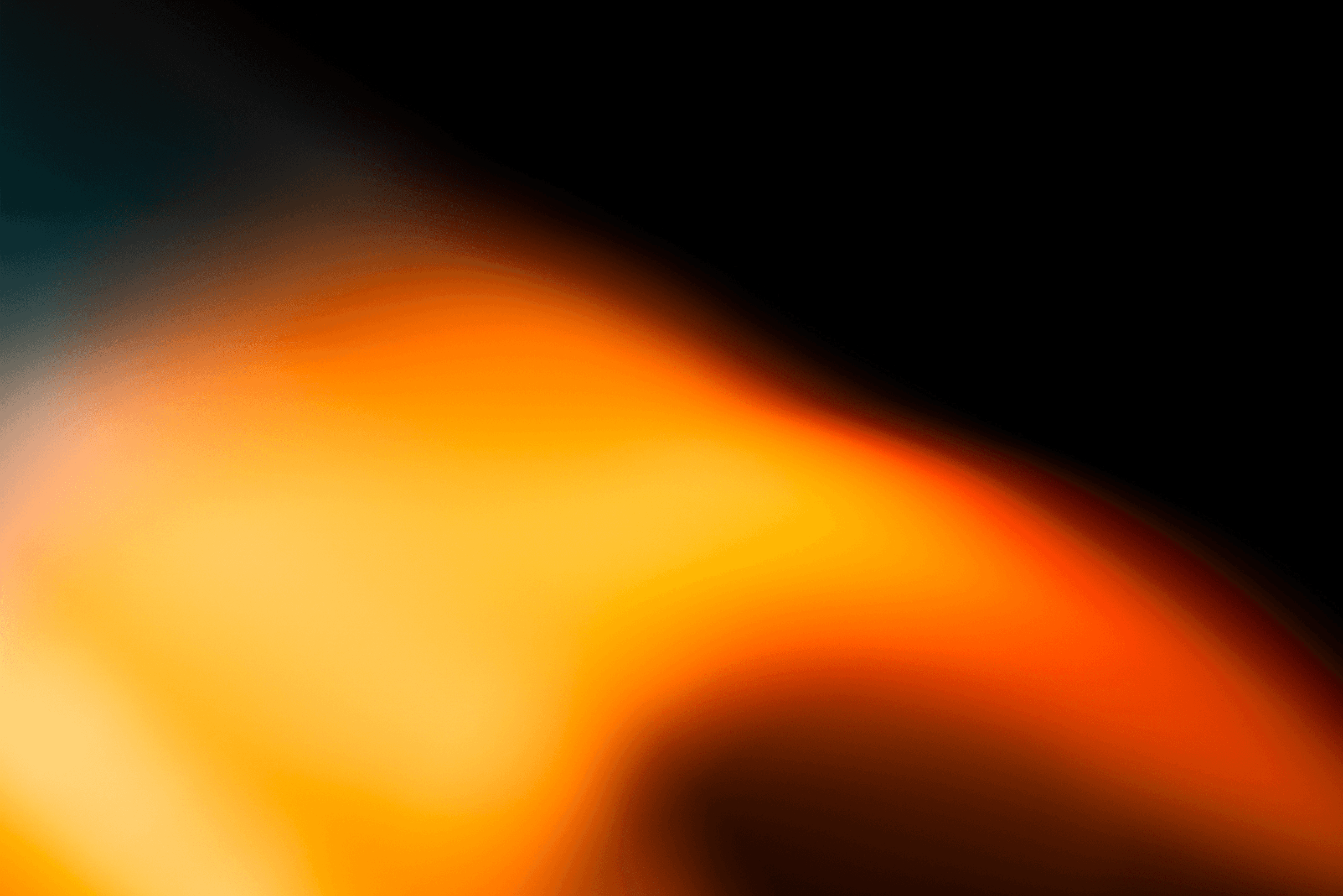 person checking expenses on ther laptop