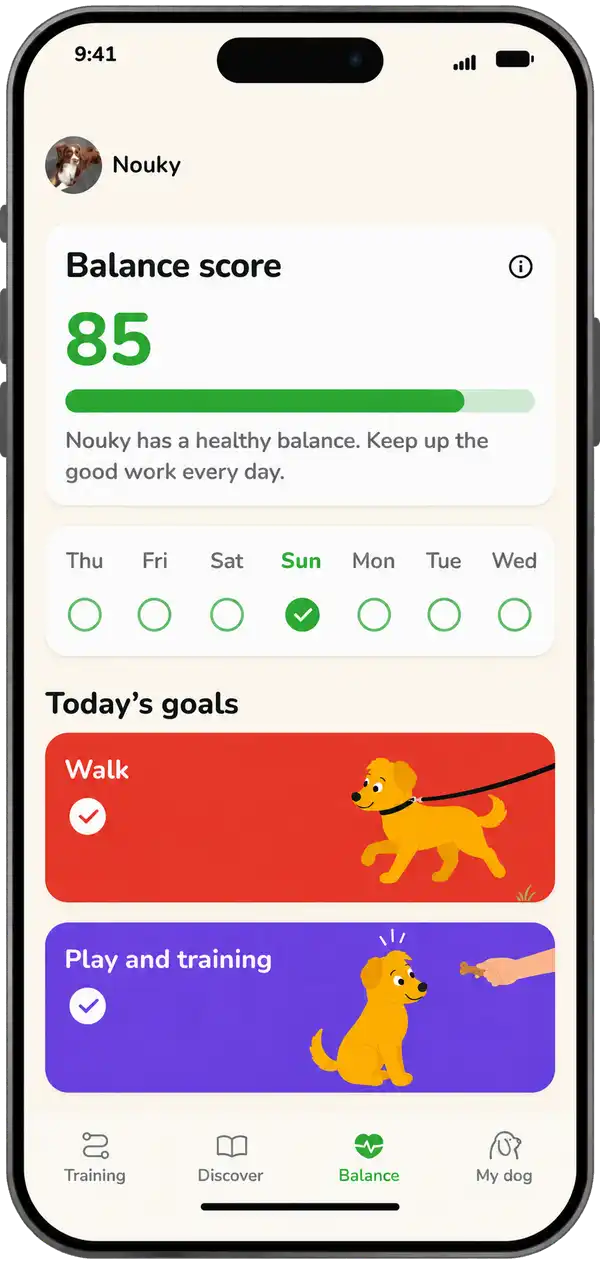 Kyno daily balance and goals on an iPhone