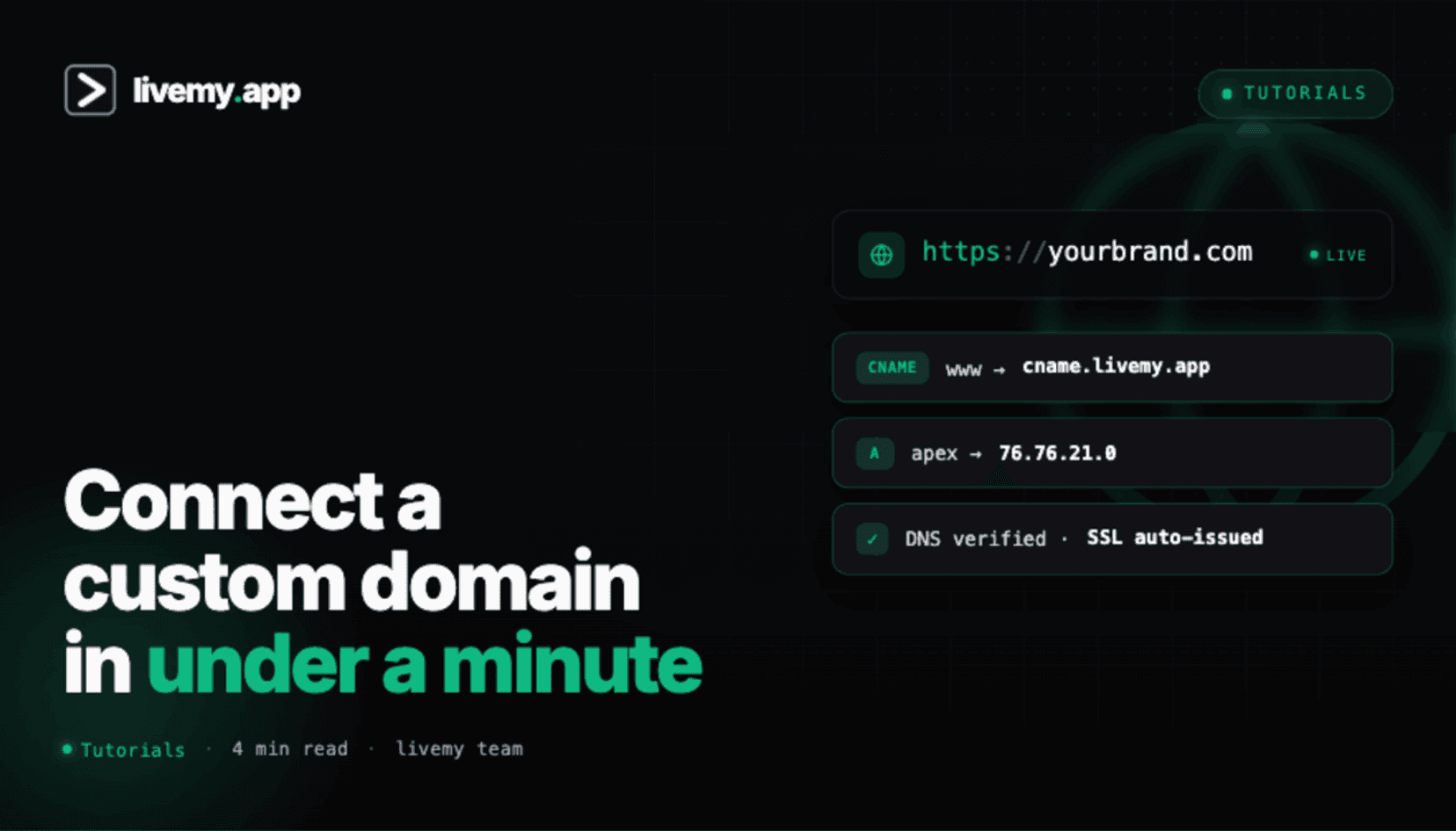 How to connect a custom domain to your app (2026)