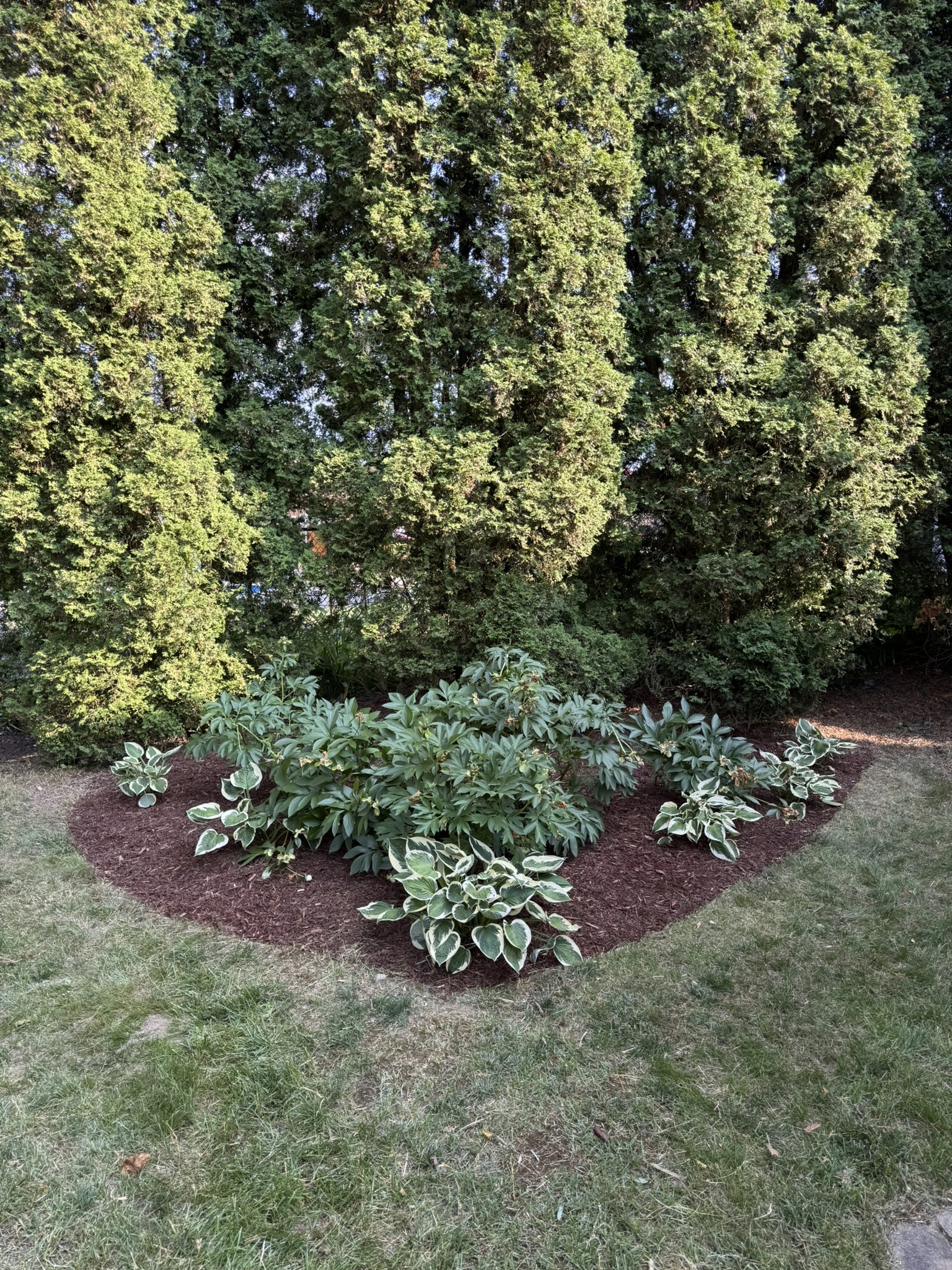 Public garden