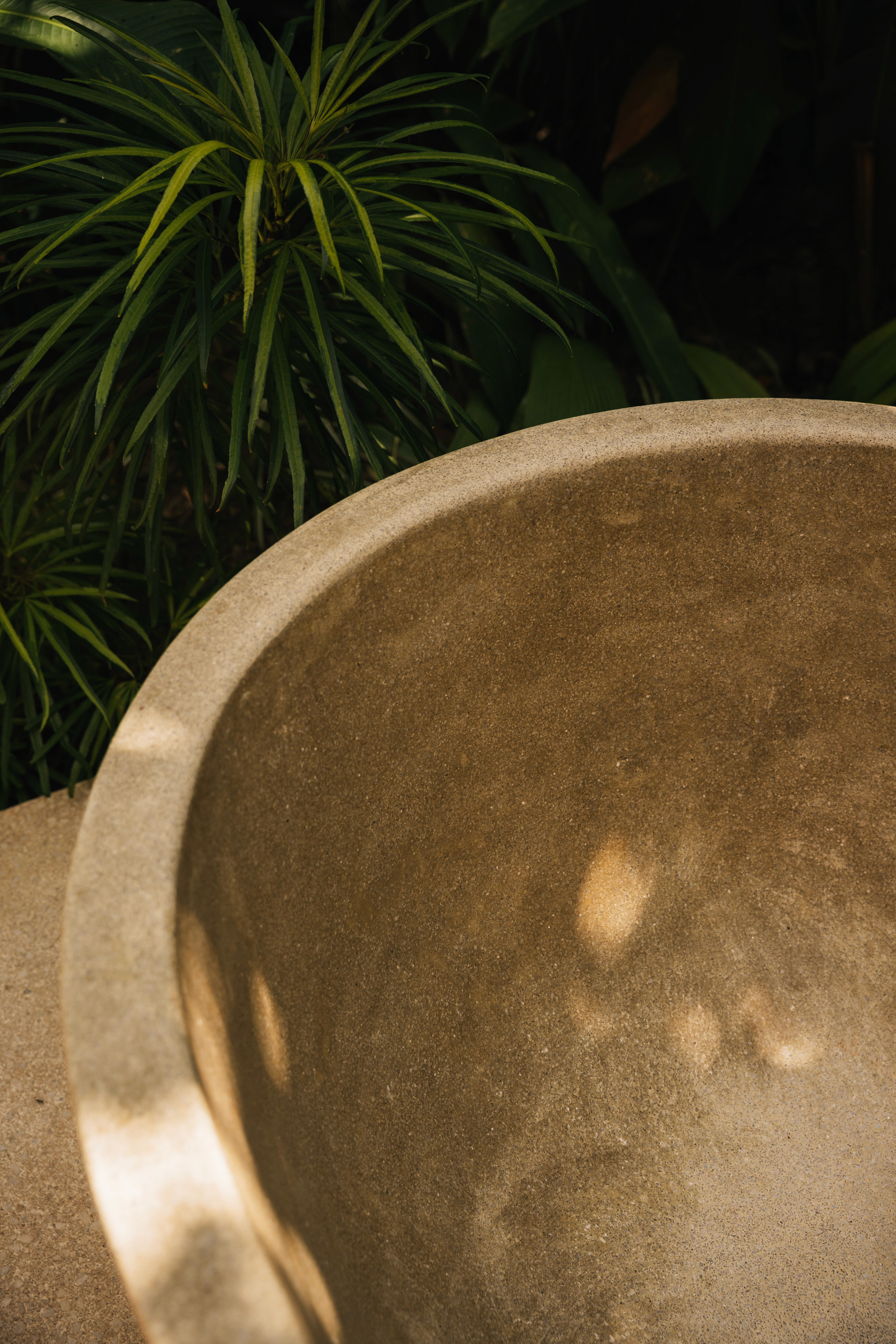 Tree house in the jungle 