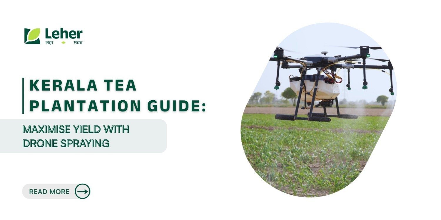 Kerala Tea Plantation Guide: Maximise Yield with Drone Spraying