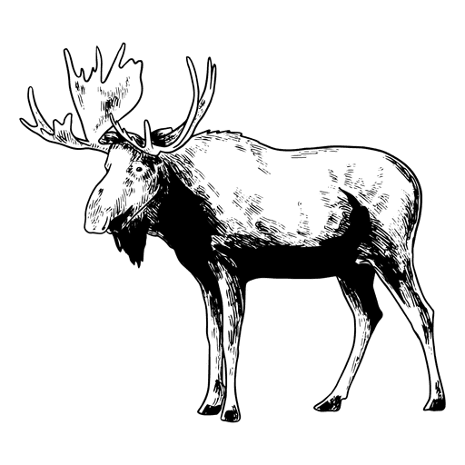 moose png