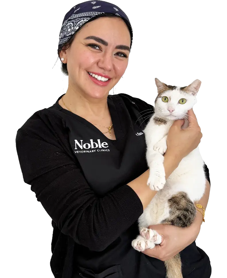 Dr. Enas Ashry: Veterinary Surgeon & Ophthalmologist