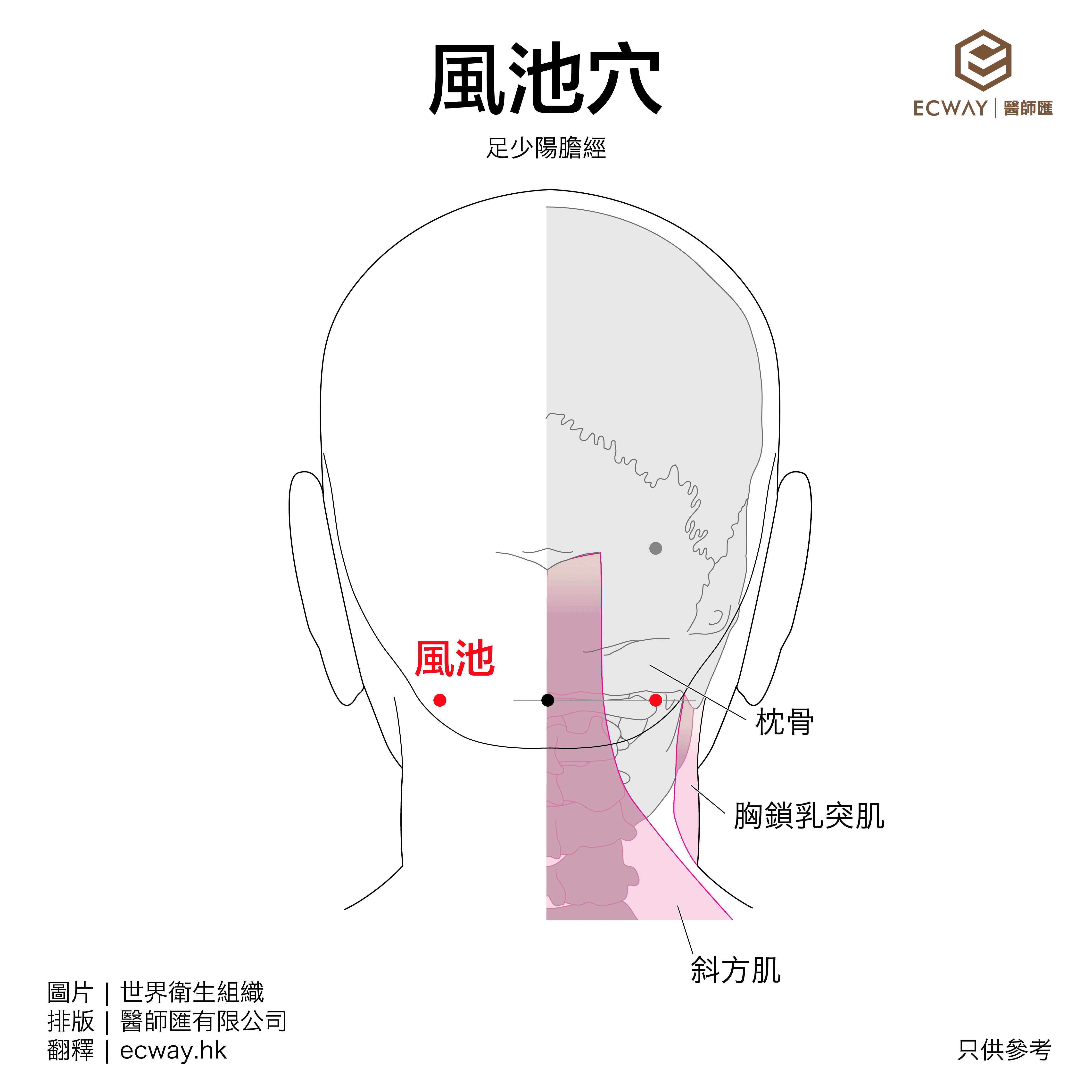 風池穴