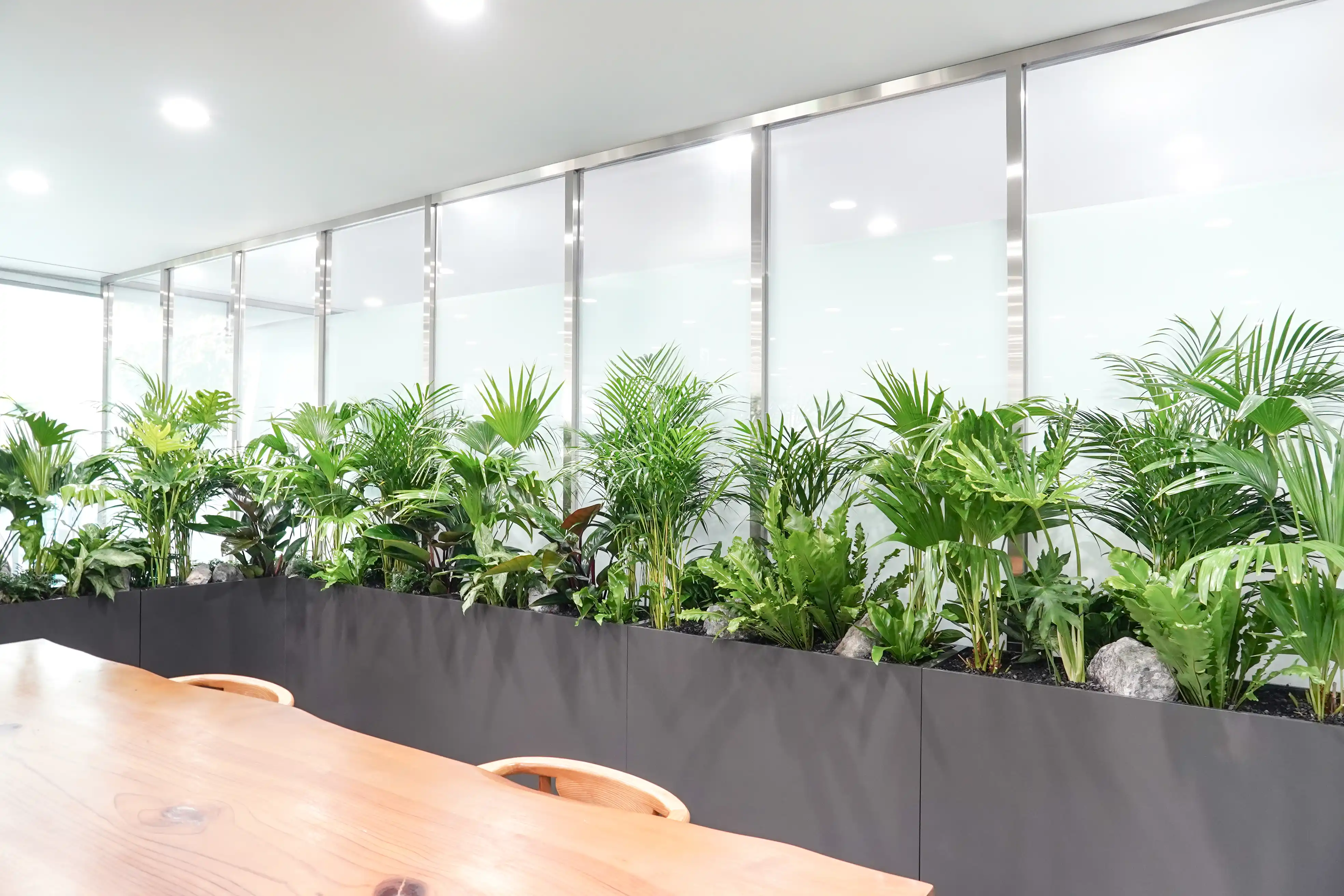 서울의 대표색을 활용하여 완성한 플랜테리어