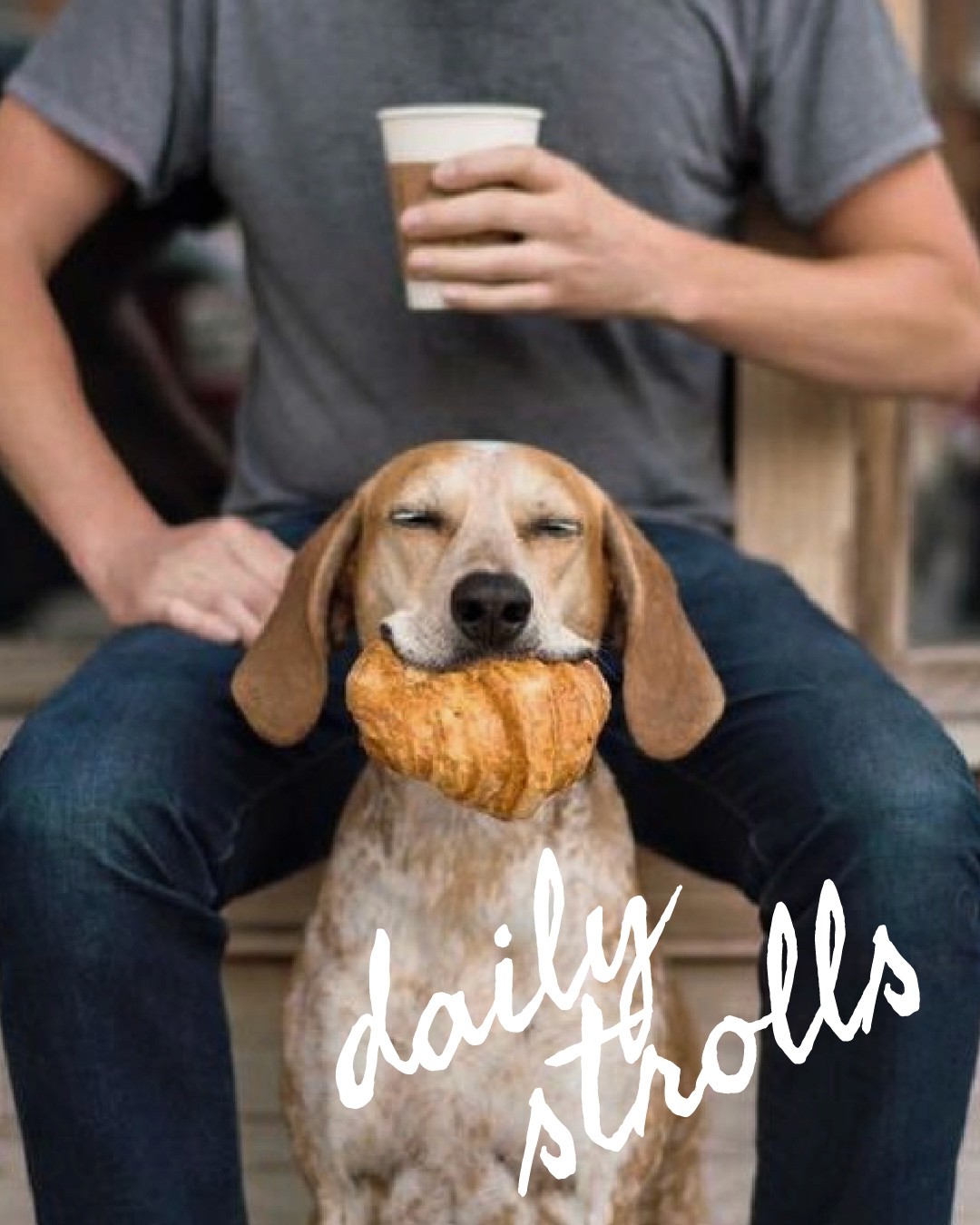 HOC Is pet friendly. IP made by Rare Ideas