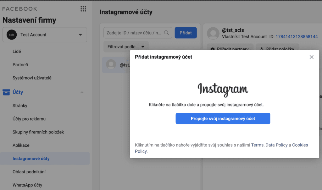 pridani insatgramu do business manager