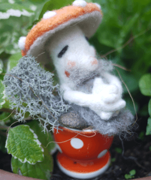 Pilz 3