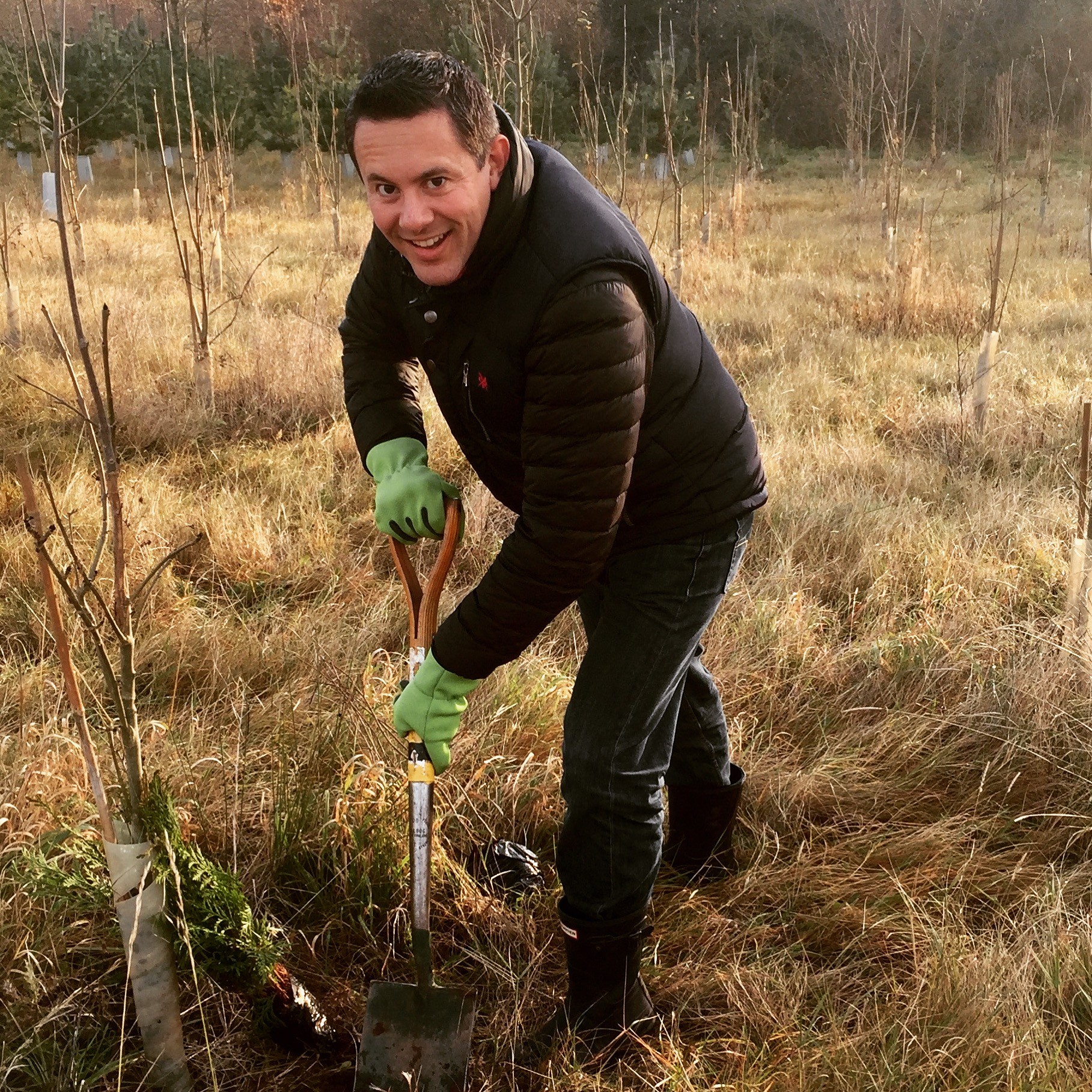 Mark at The Brand Strategy embracing the UN Sustainable Development Goals 15 - Life on Land and 13 - Climate Action by planting trees in the National Forest.