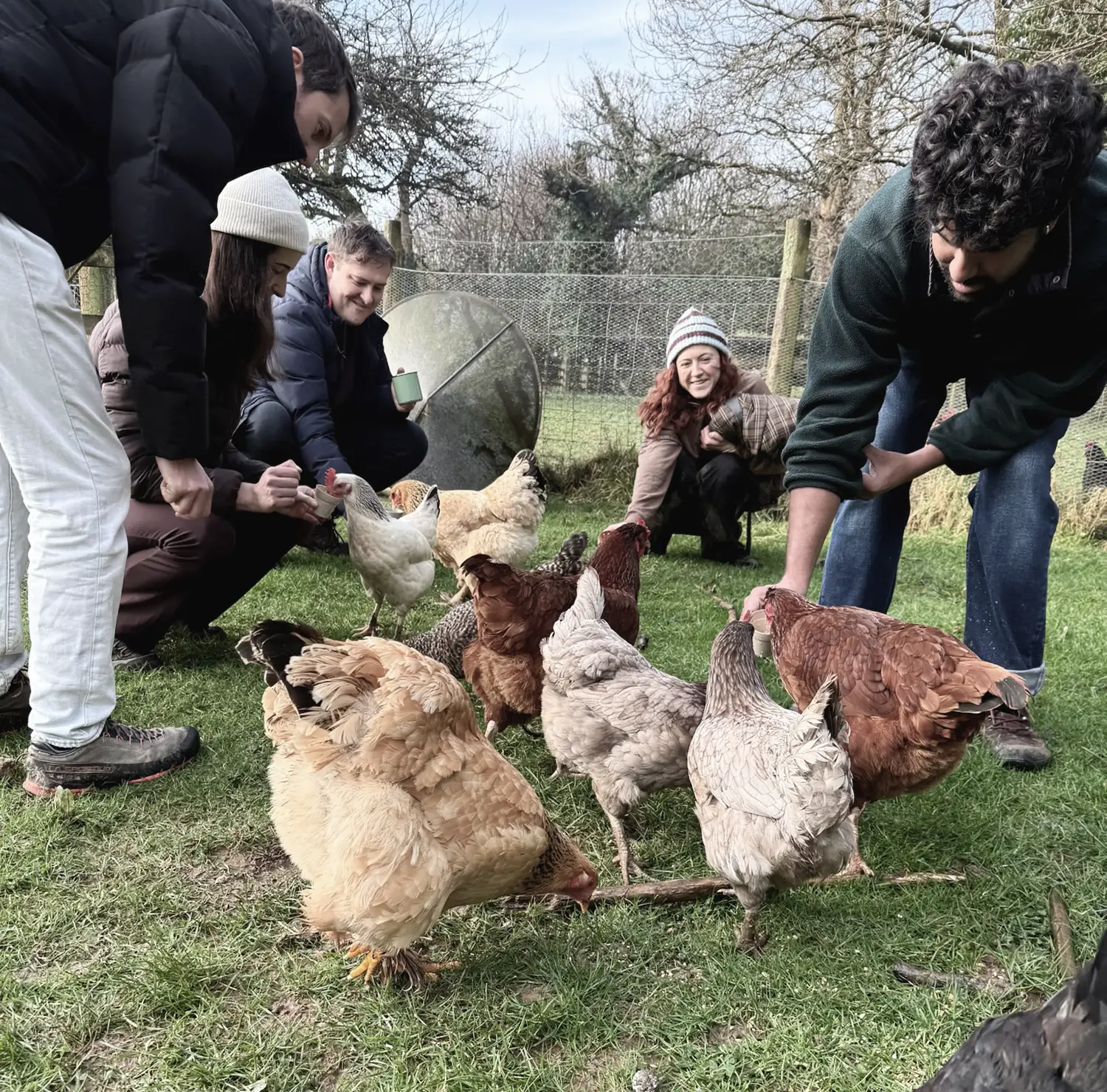 Froomies residents meeting and naming the hens at the farm chicken coop