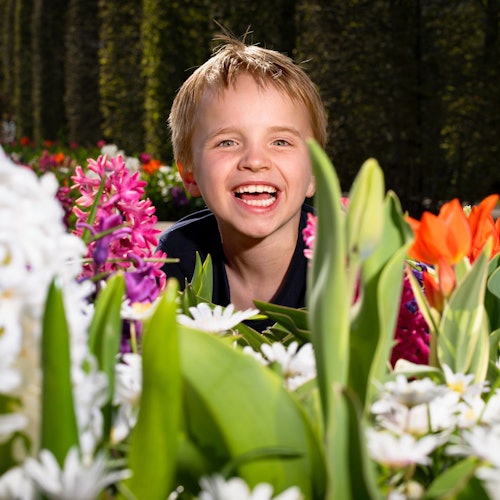 Keukenhof tickets in Lisse