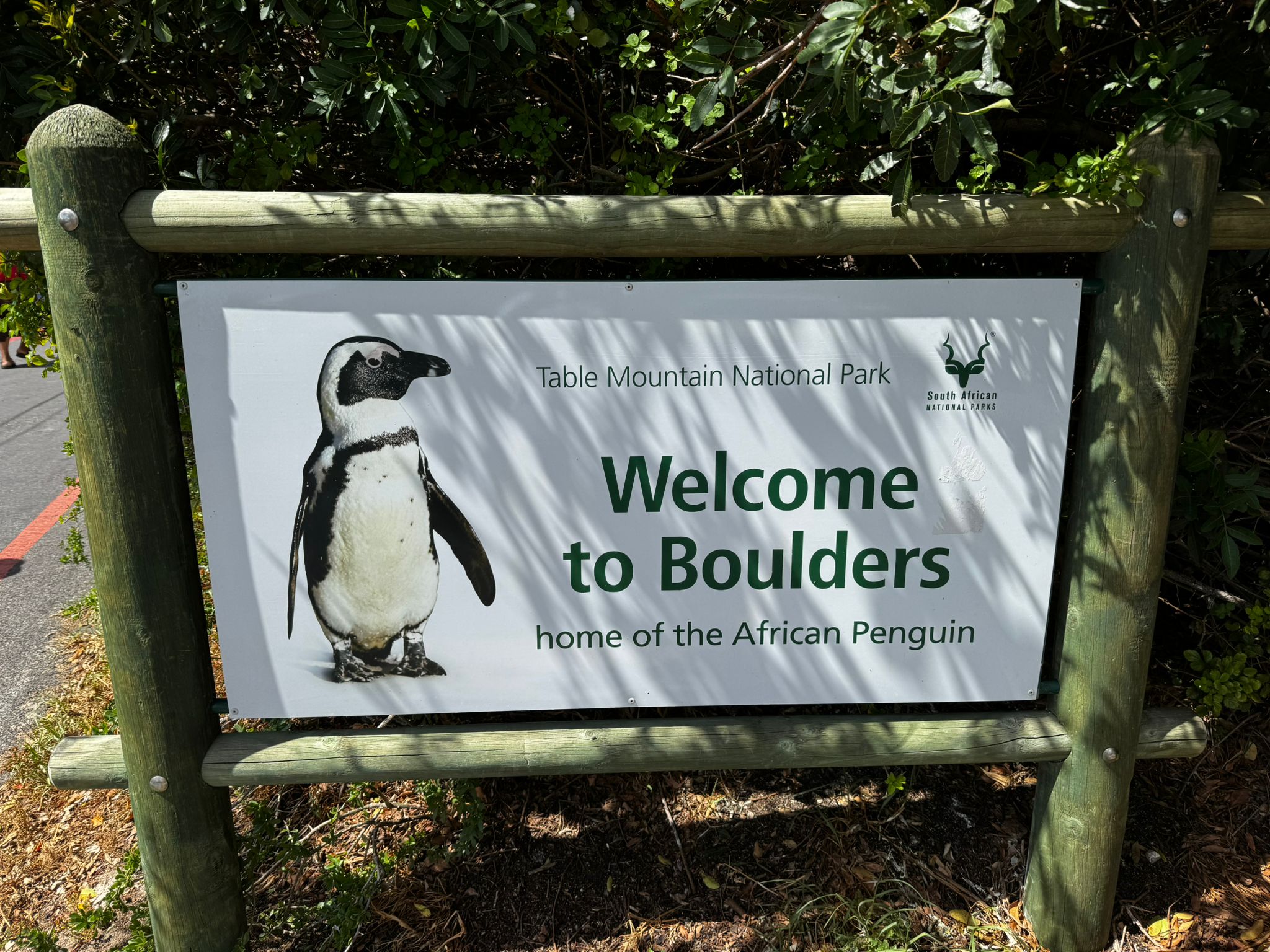 Table Mountain National Park sign that says "Welcome to Boulders, home of the African Penguin".